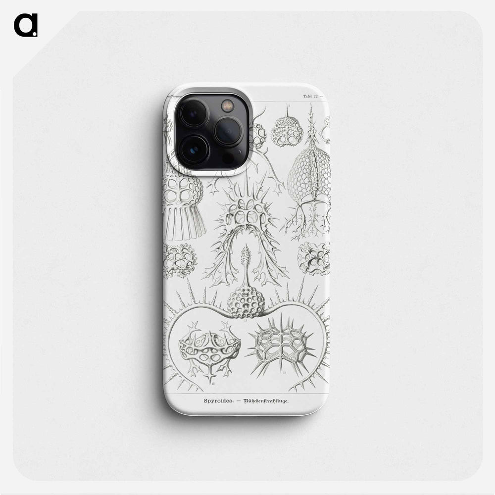 Spyroidea–Nükchenstrahlinge from Kunstformen der Natur - エルンスト ヘッケル Phone Case.