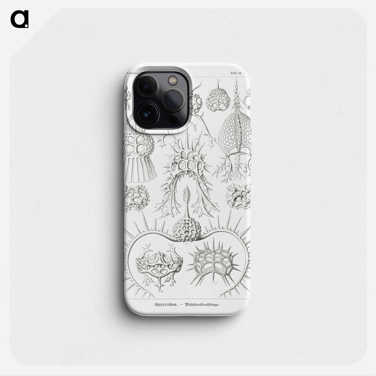 Spyroidea–Nükchenstrahlinge from Kunstformen der Natur - エルンスト ヘッケル Phone Case.