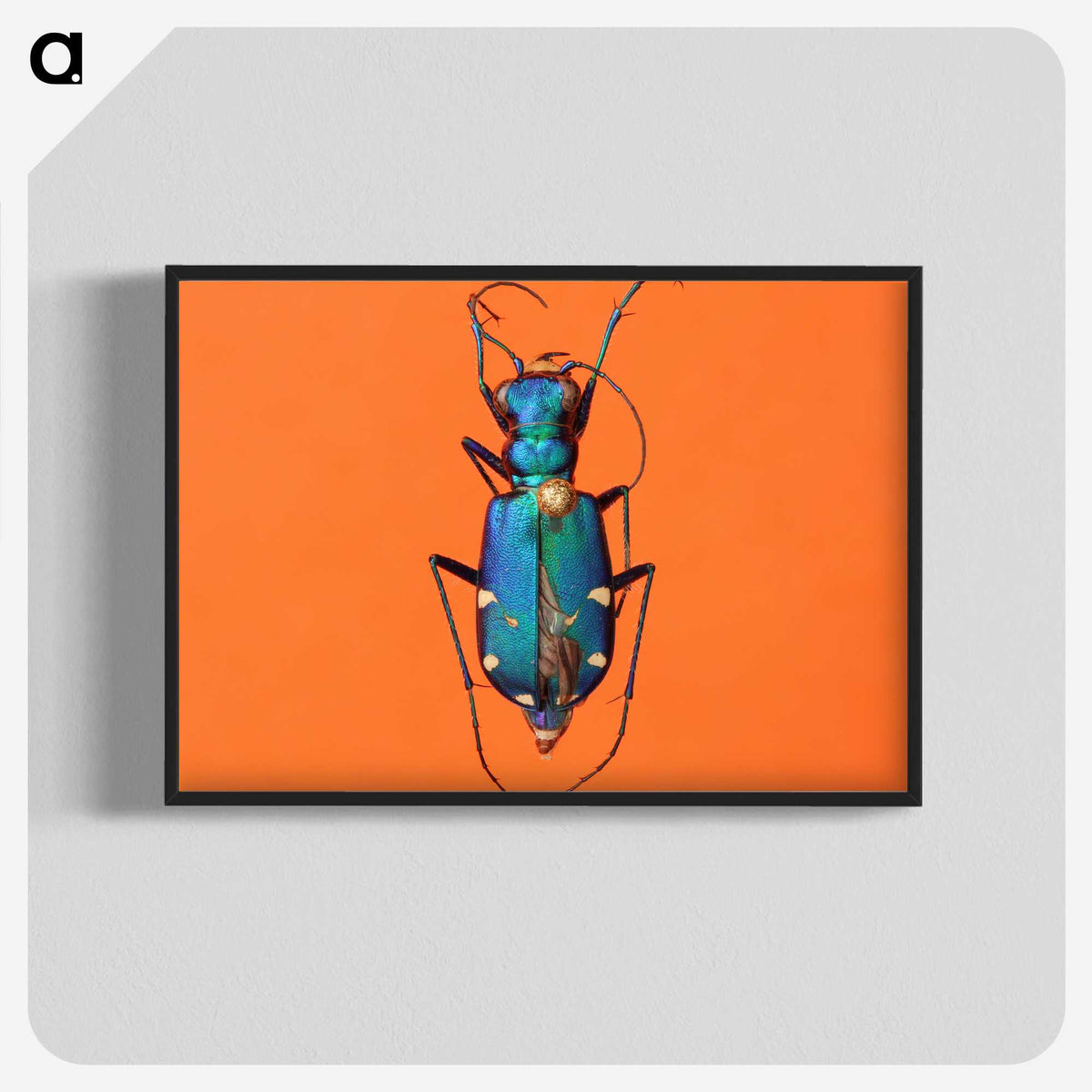 3-20_Insects-Unlocked-Project_blk-crop