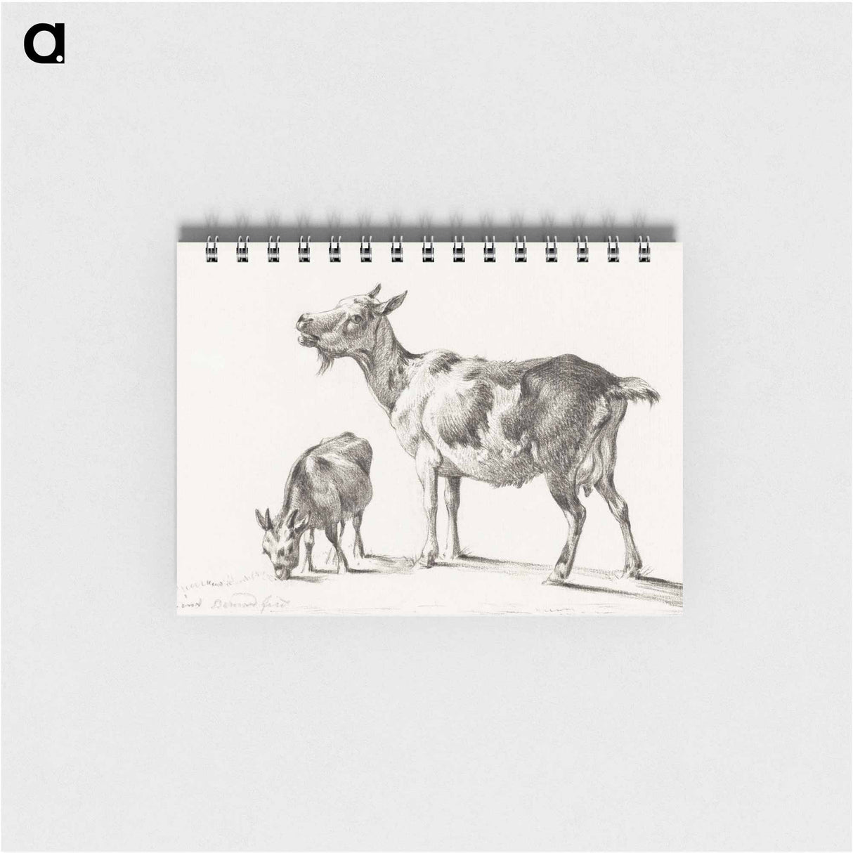 Goats - ジャン ベルナール Memo.