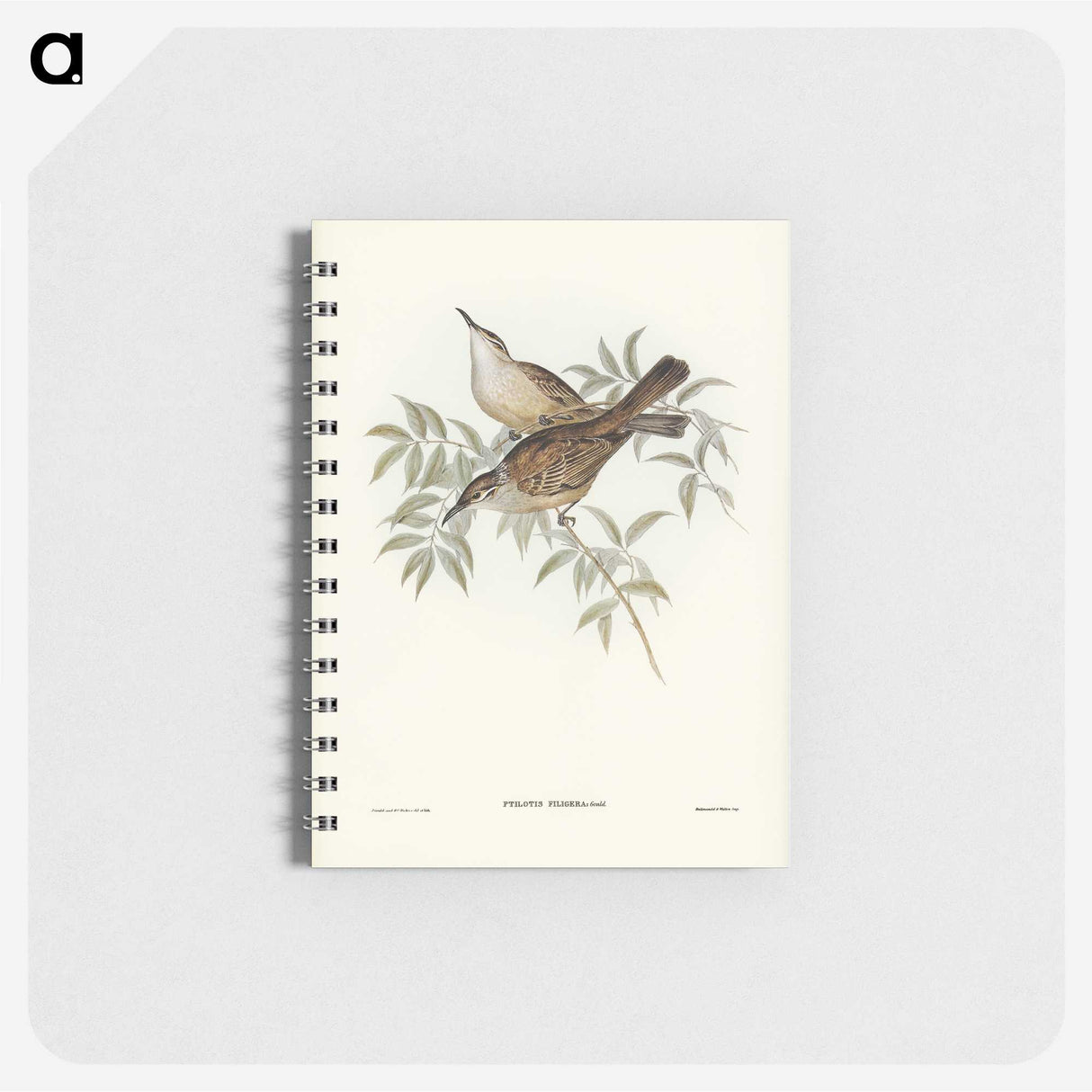 3-20_John-Gould_memo