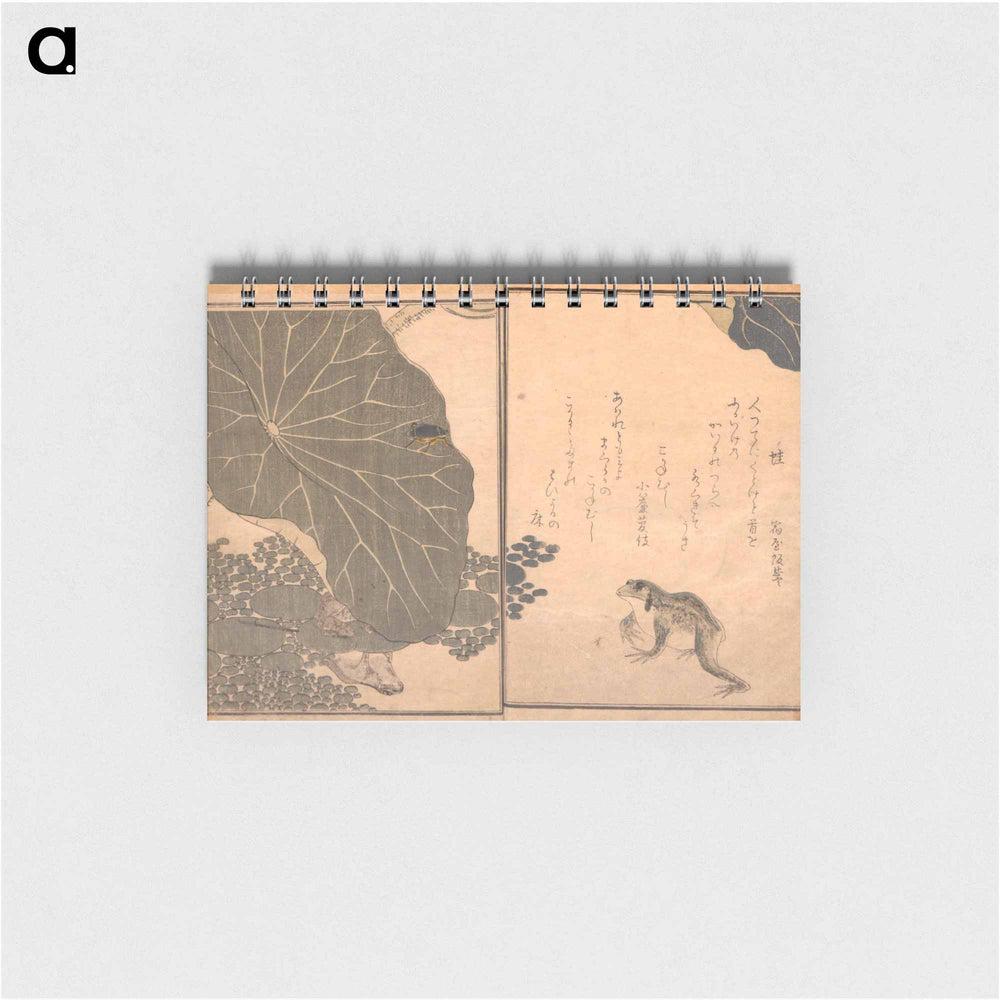 Picture Book of Crawling Creatures (The Insect Book) (Ehon mushi erami) - 喜多川 歌麿 Memo.
