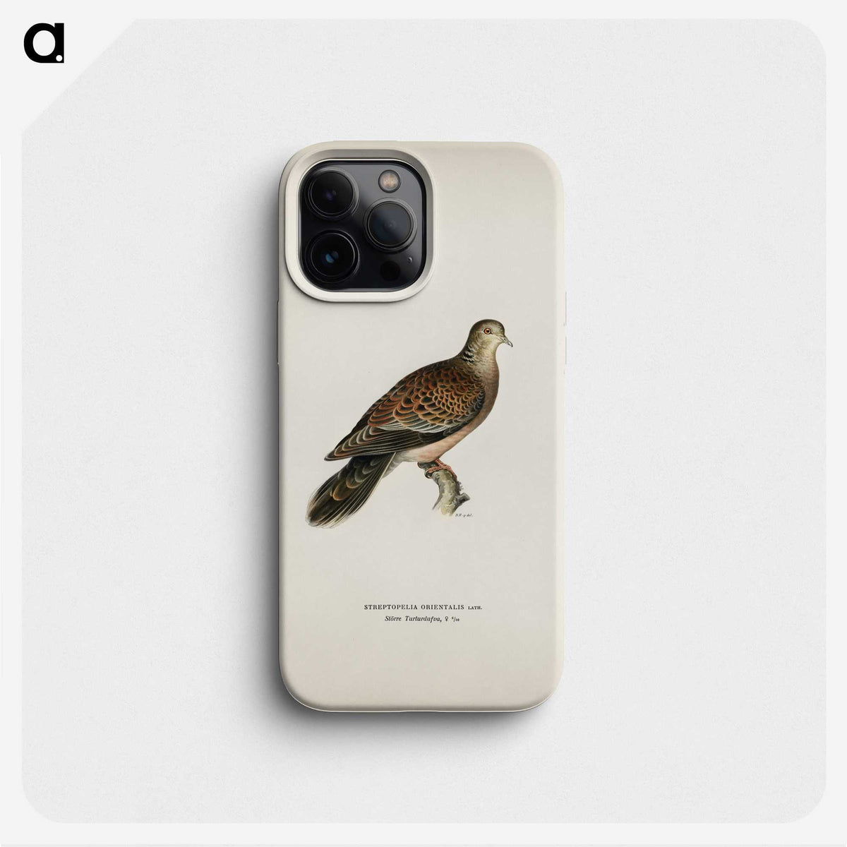 3-20_Magnus-von-Wright_phone