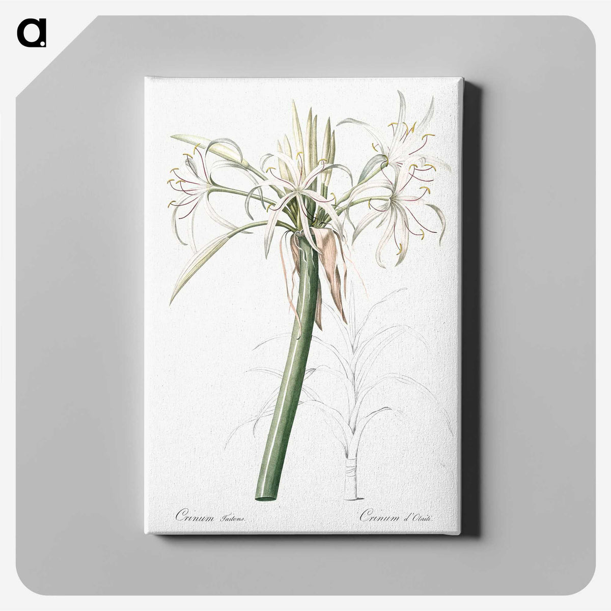3-20_The-Lilies_canvas