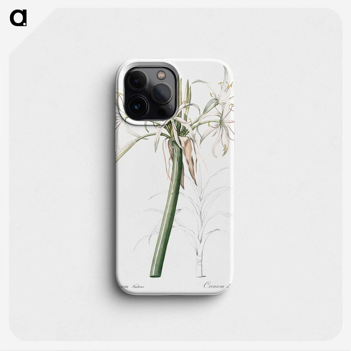 3-20_The-Lilies_phone