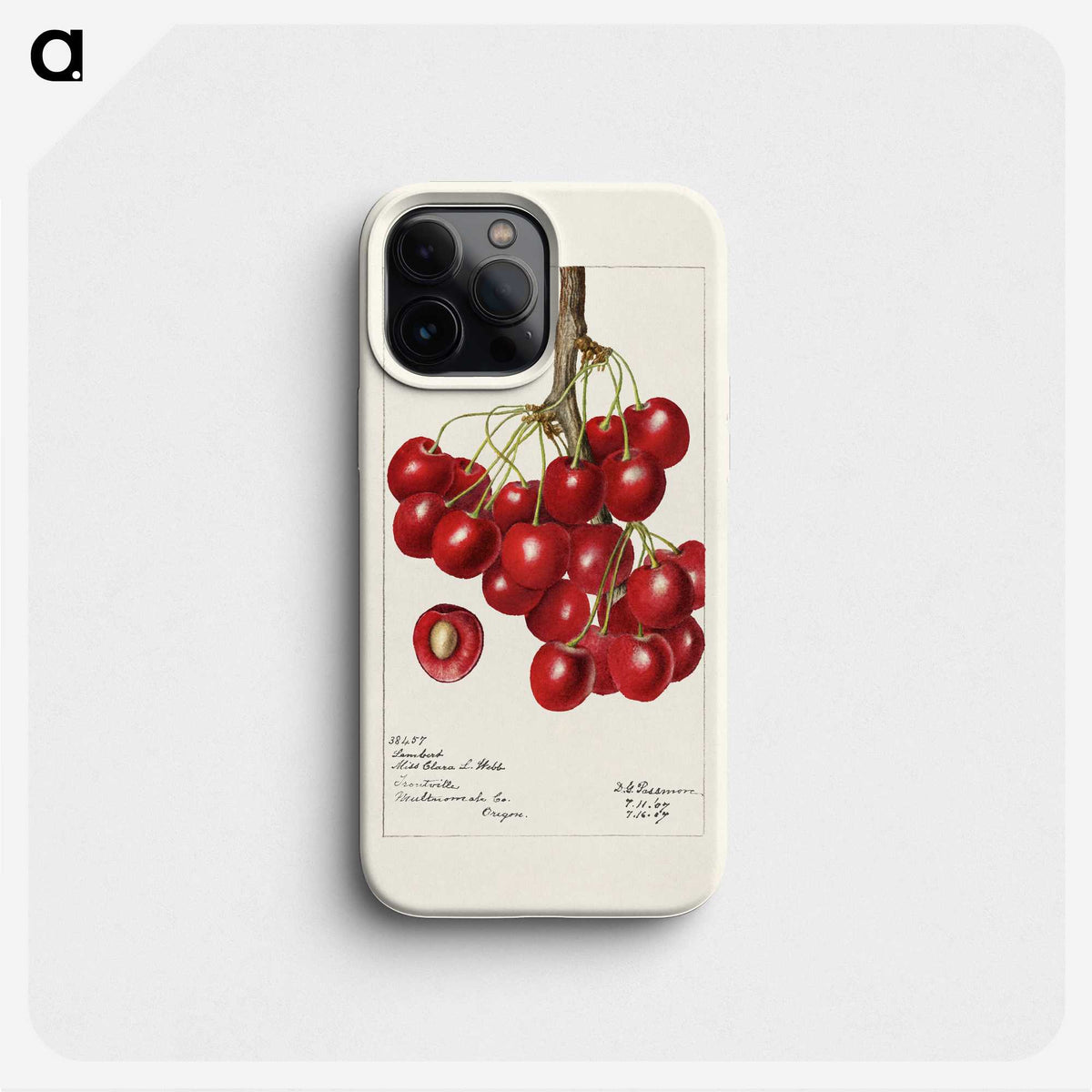 3-20_USDA-Watercolor-Fruit-Painting-Collection_phone