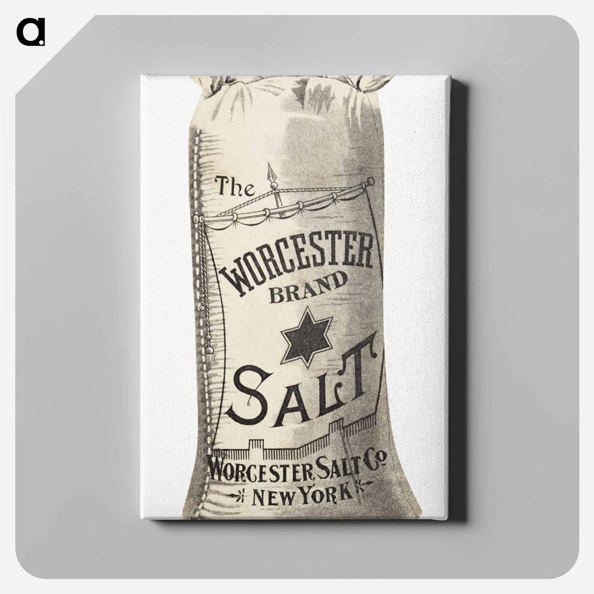 アートパネル-Worcester Salt
- ボストン公共図書館 Canvas.