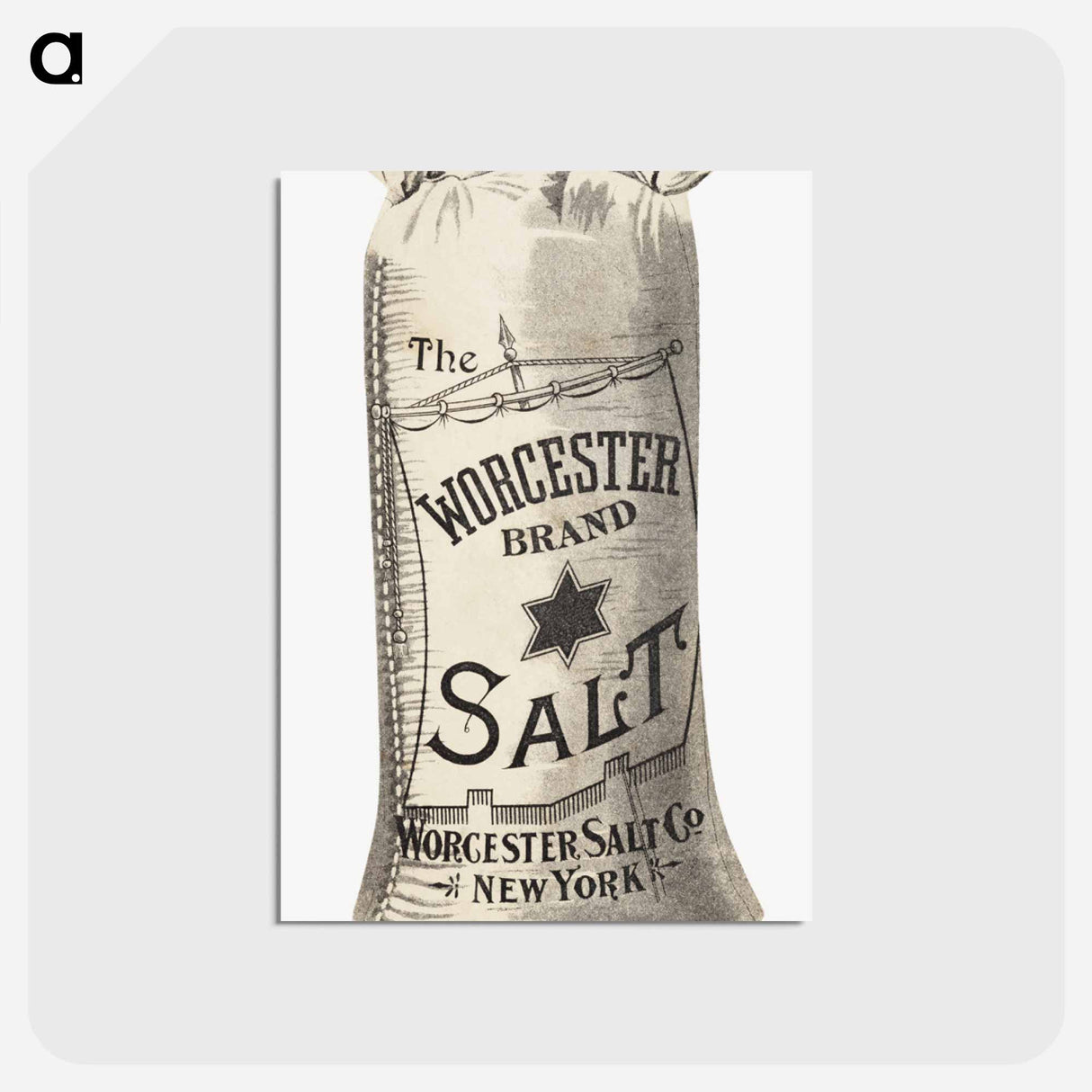 アートポストカード-Worcester Salt
- ボストン公共図書館 Postcard.