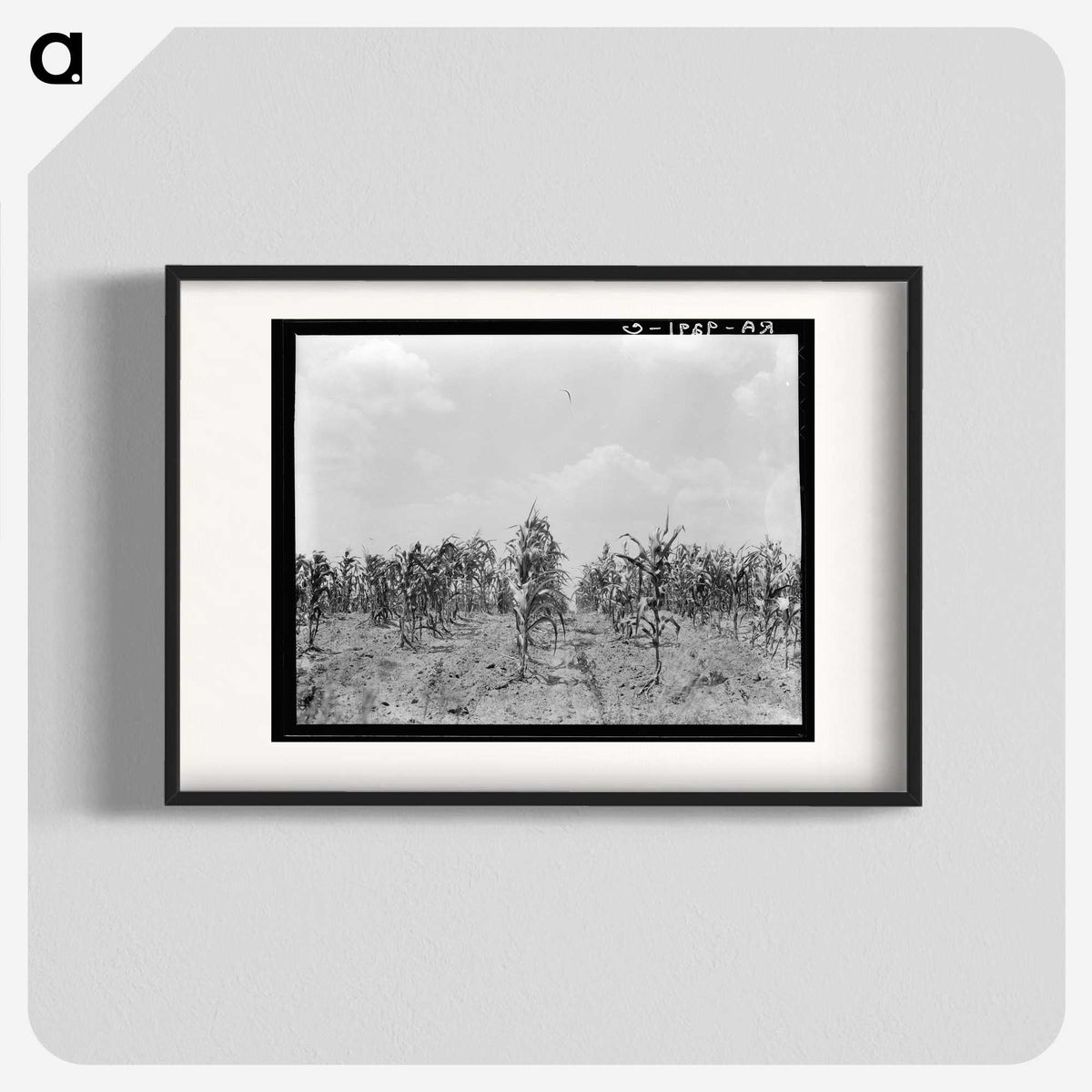 3-21_Dorothea-Lange_blk