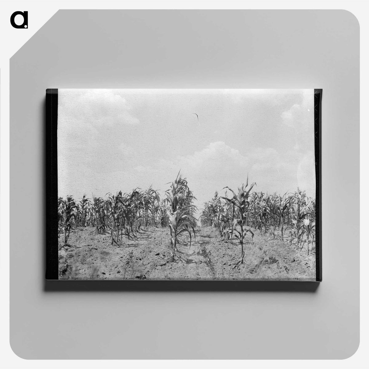 3-21_Dorothea-Lange_canvas