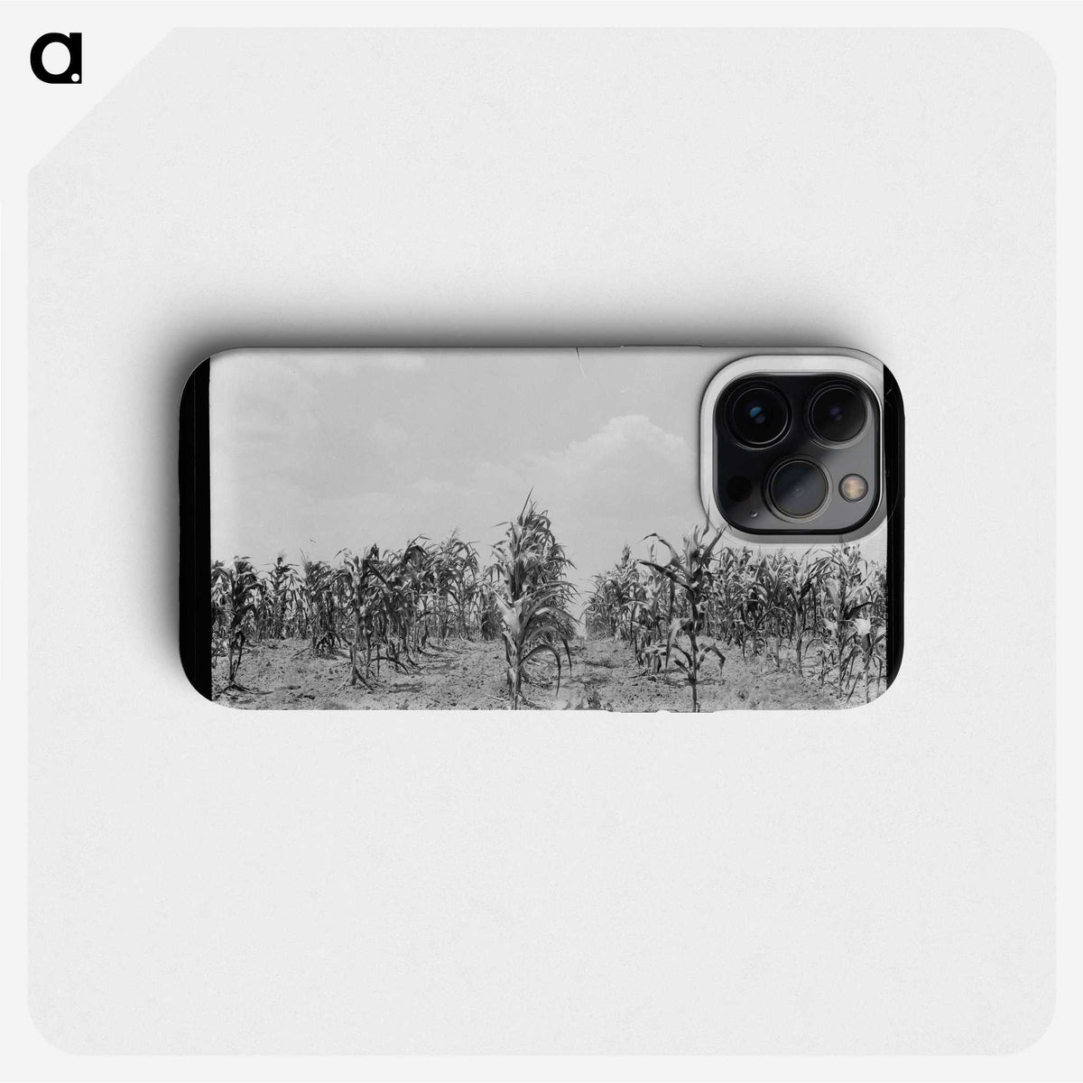 3-21_Dorothea-Lange_phone