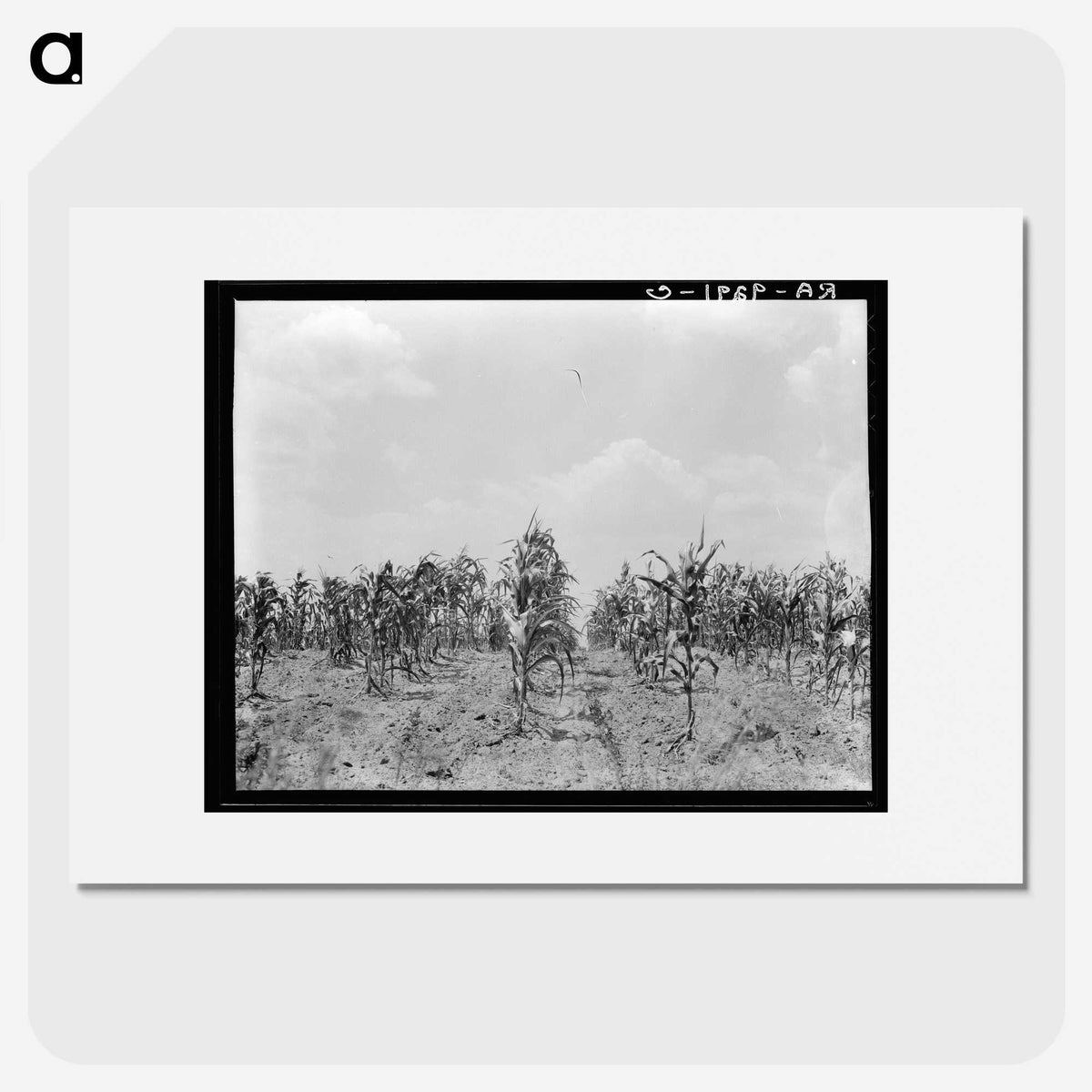 3-21_Dorothea-Lange_picture