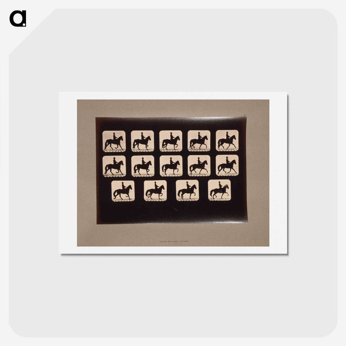 3-21_Eadweard-Muybridge_hagaki
