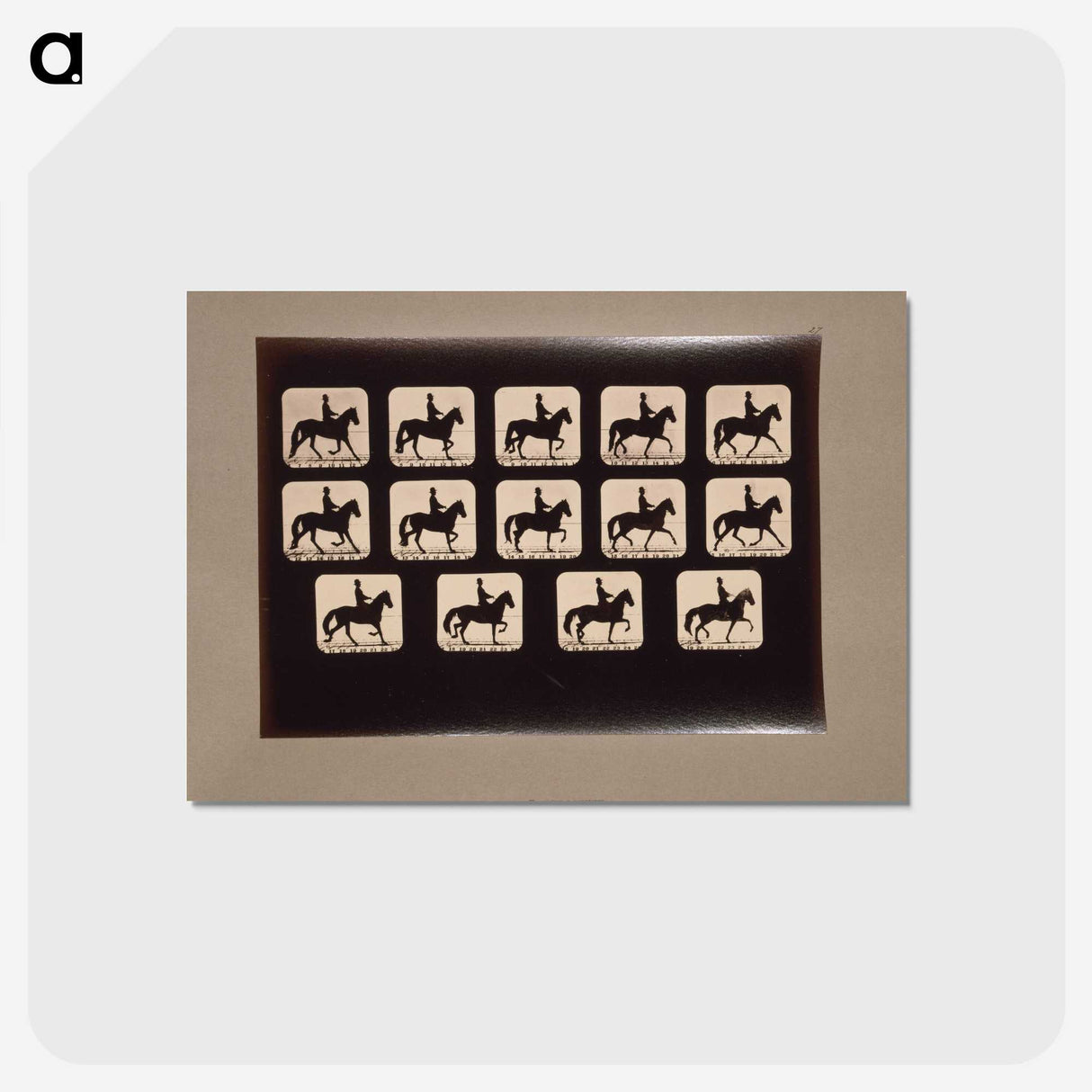 3-21_Eadweard-Muybridge_postcard