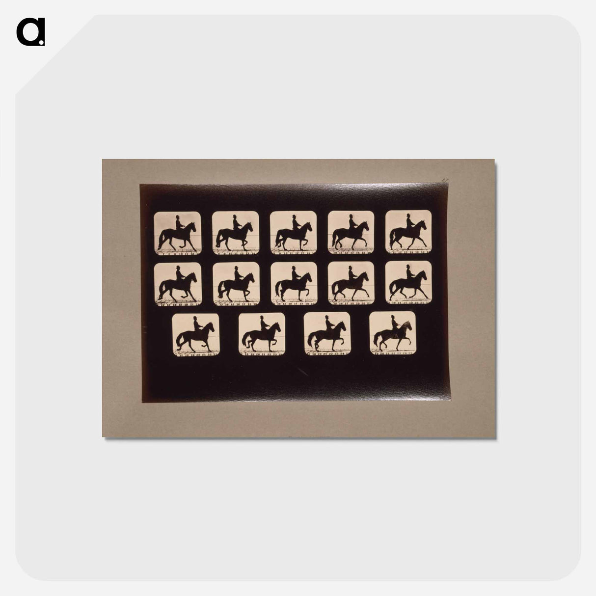 アートポストカード-Trotting Horses
- エドワード マイブリッジ Postcard.