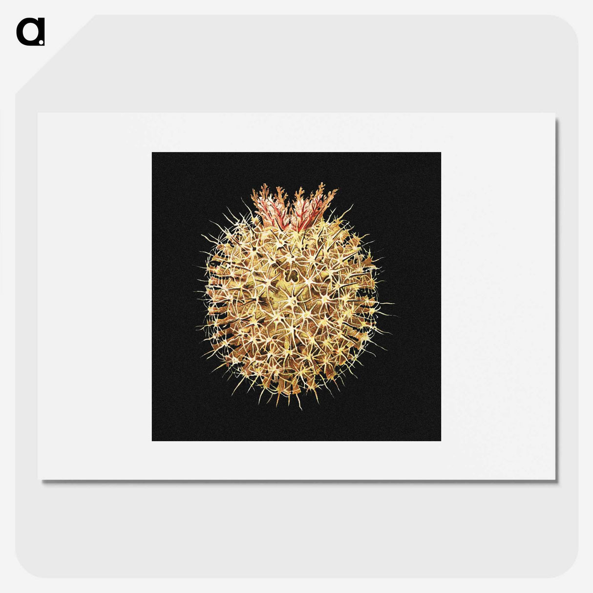 3-21_Ernst-Haeckel_picture