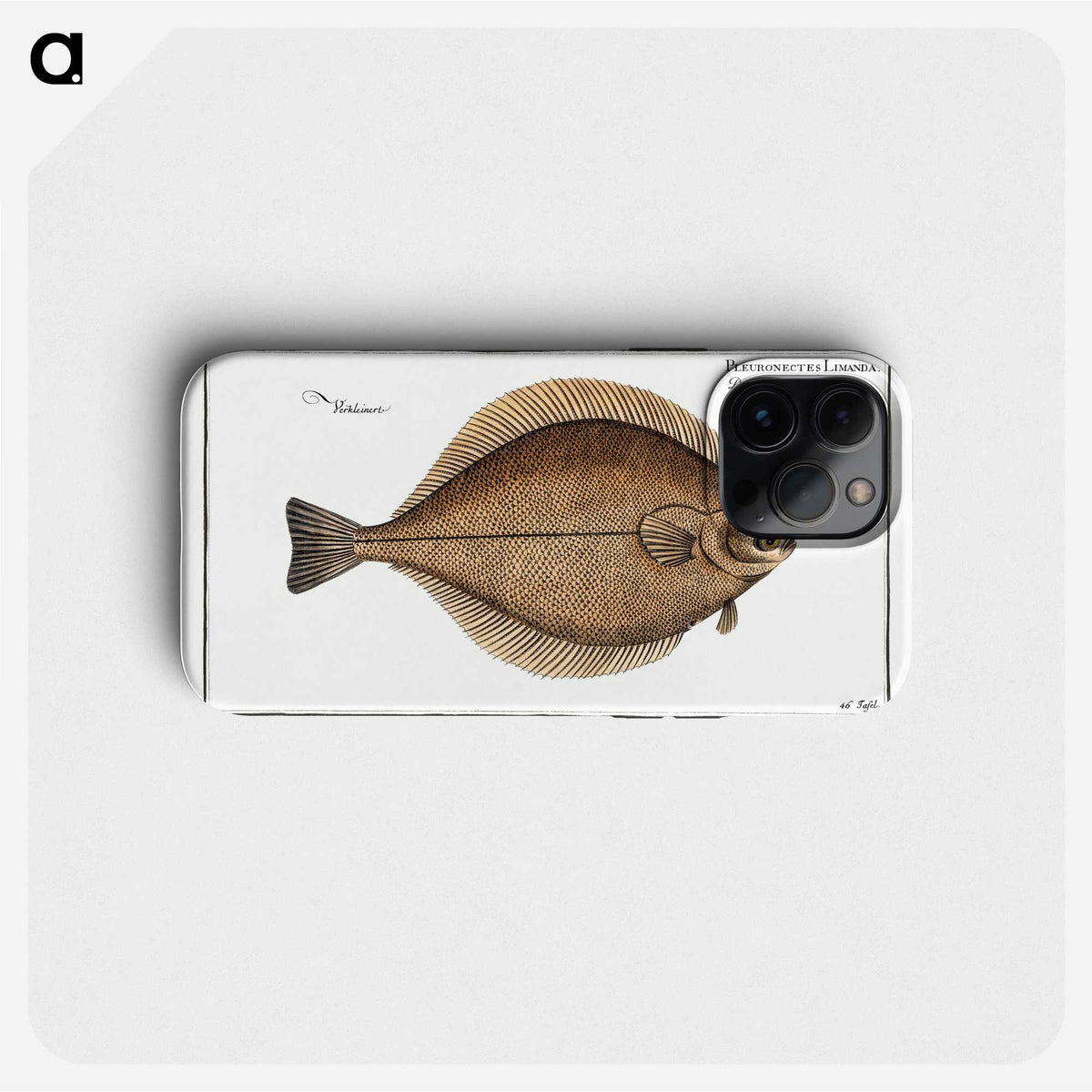 3-21_Ichtyologie-ou-Histoire-naturelle_phone