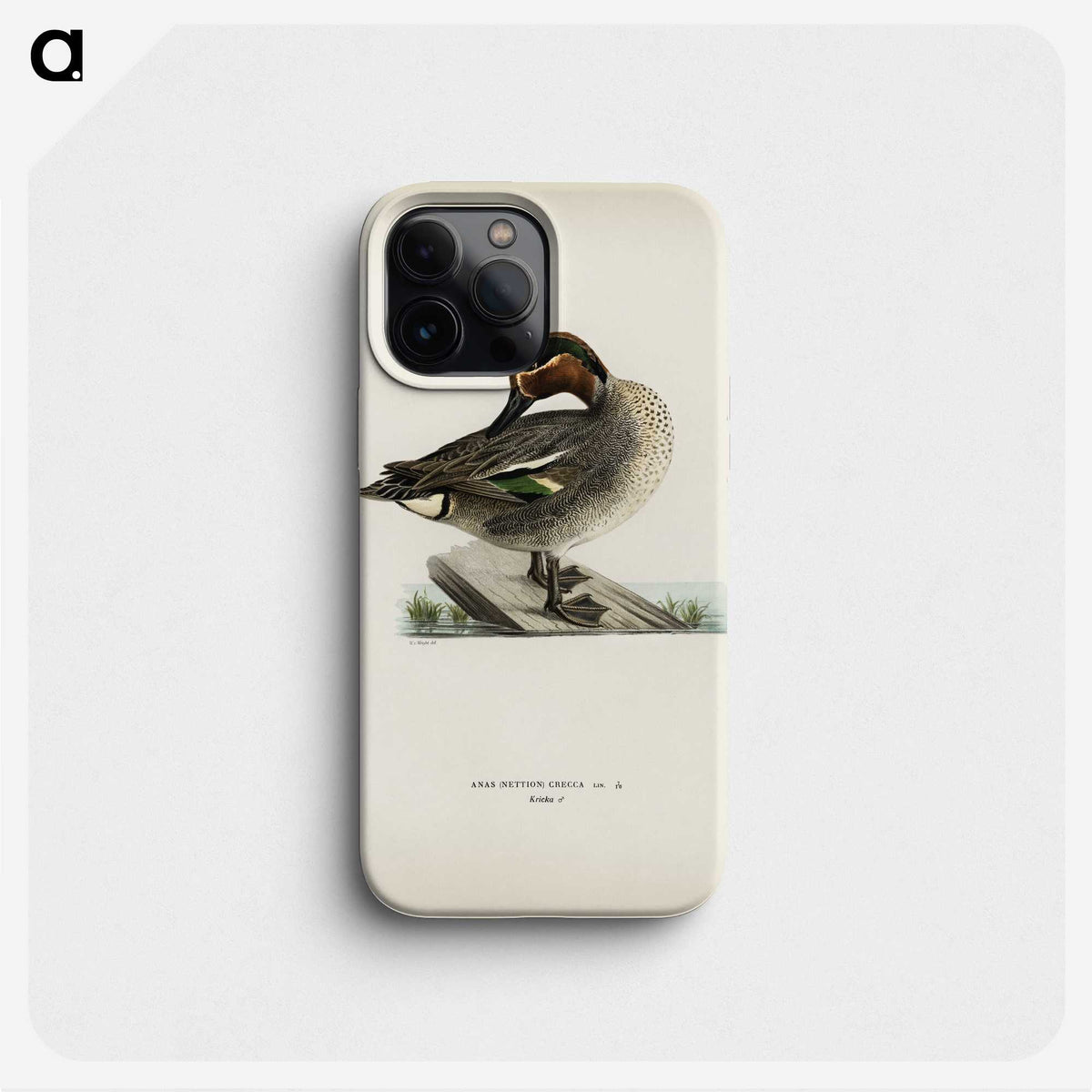 3-21_Magnus-von-Wright_phone