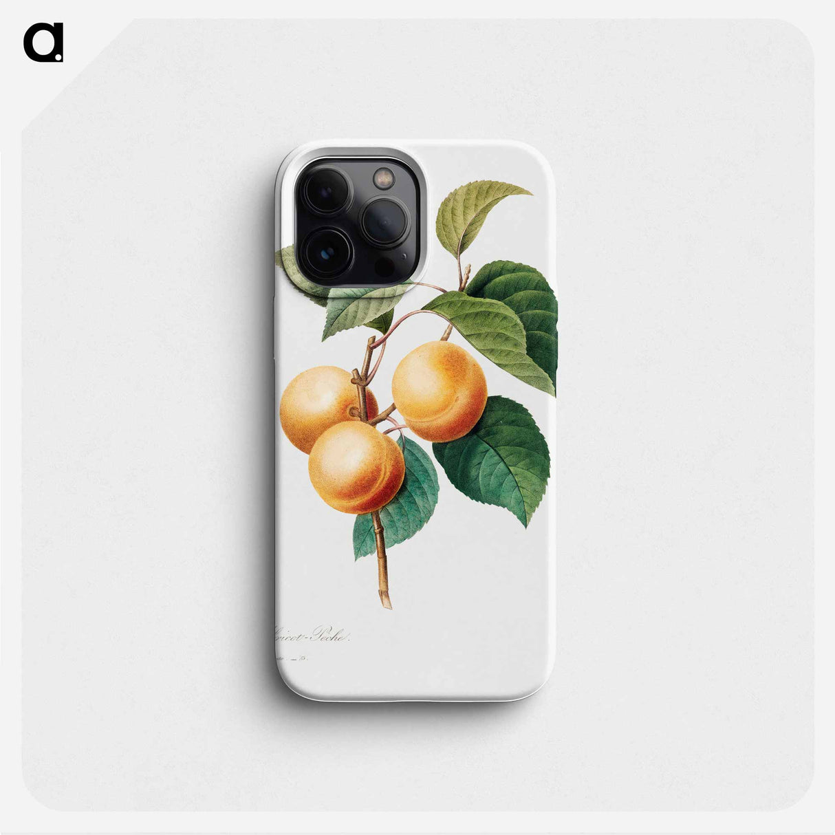 Peaches - ピエール ジョゼフ ルドゥーテ Phone Case.