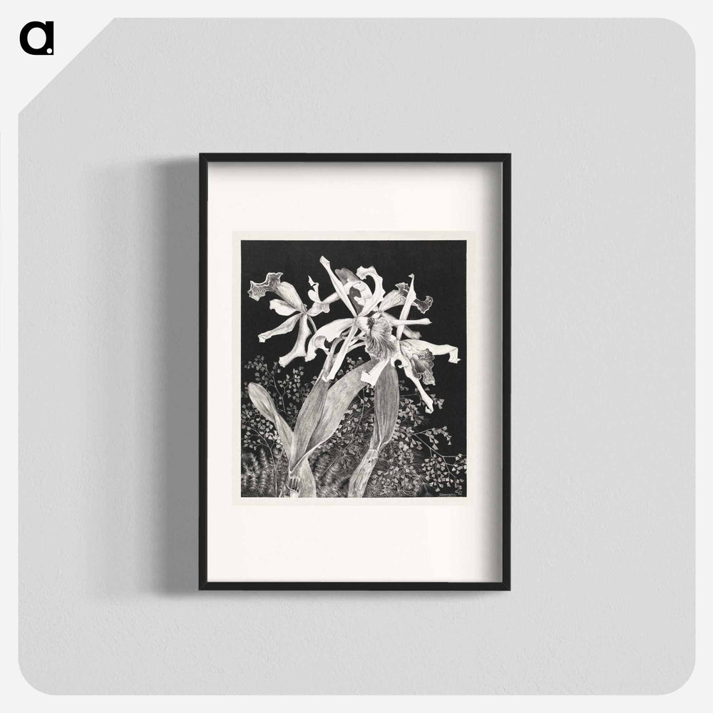 Orchids - Theo Van Hoytema Poster.