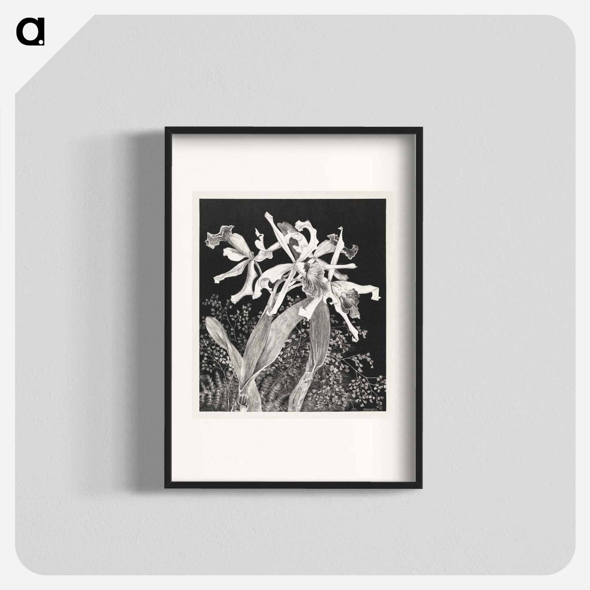 Orchids - Theo Van Hoytema Poster.