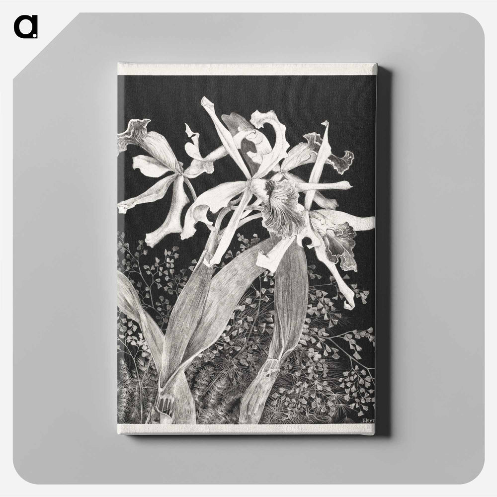 Orchids - Theo van Hoytema Canvas.