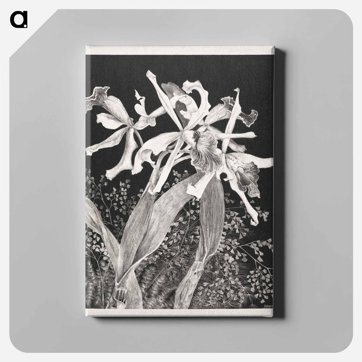 Orchids - Theo van Hoytema Canvas.