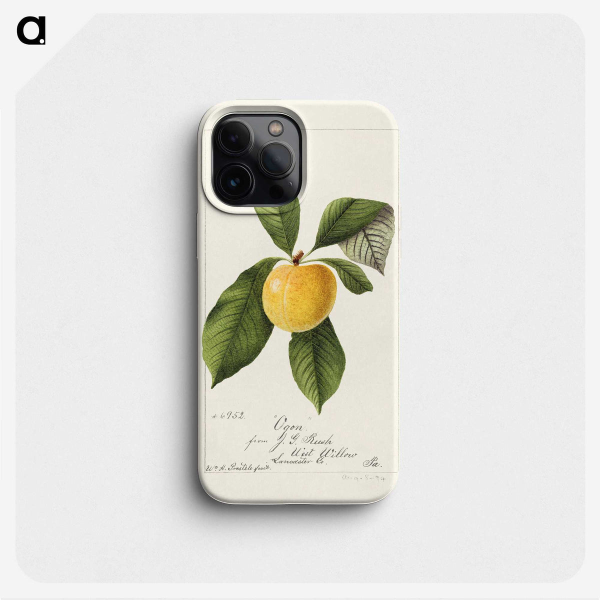 3-21_USDA-Watercolor-Fruit-Painting-Collection_phone