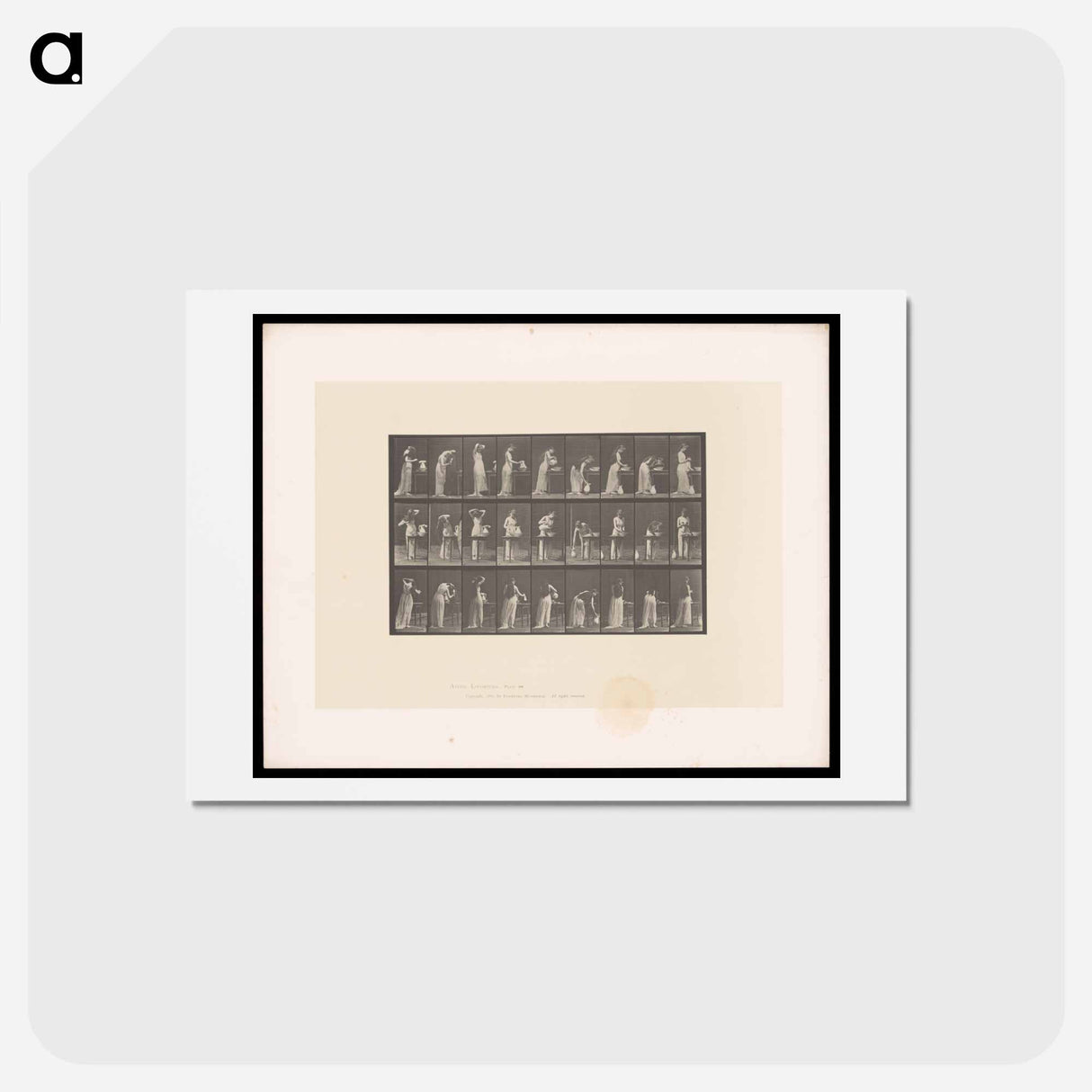 アートポストカード-Woman at Her Washstand
- エドワード マイブリッジ Postcard.