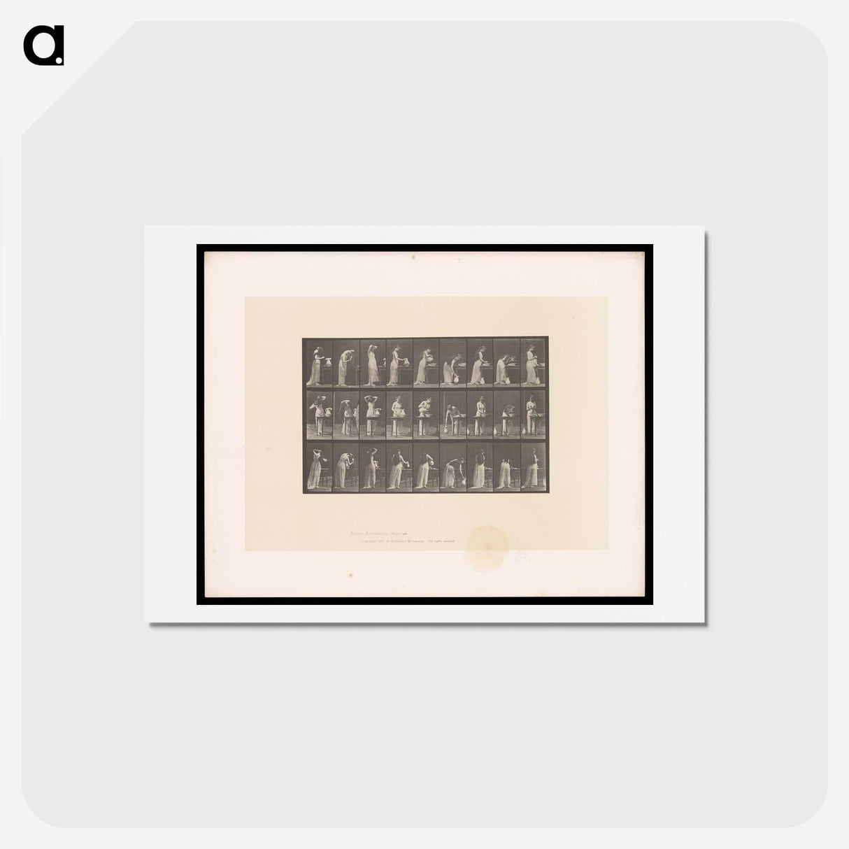 3-22_Eadweard-Muybridge_hagaki
