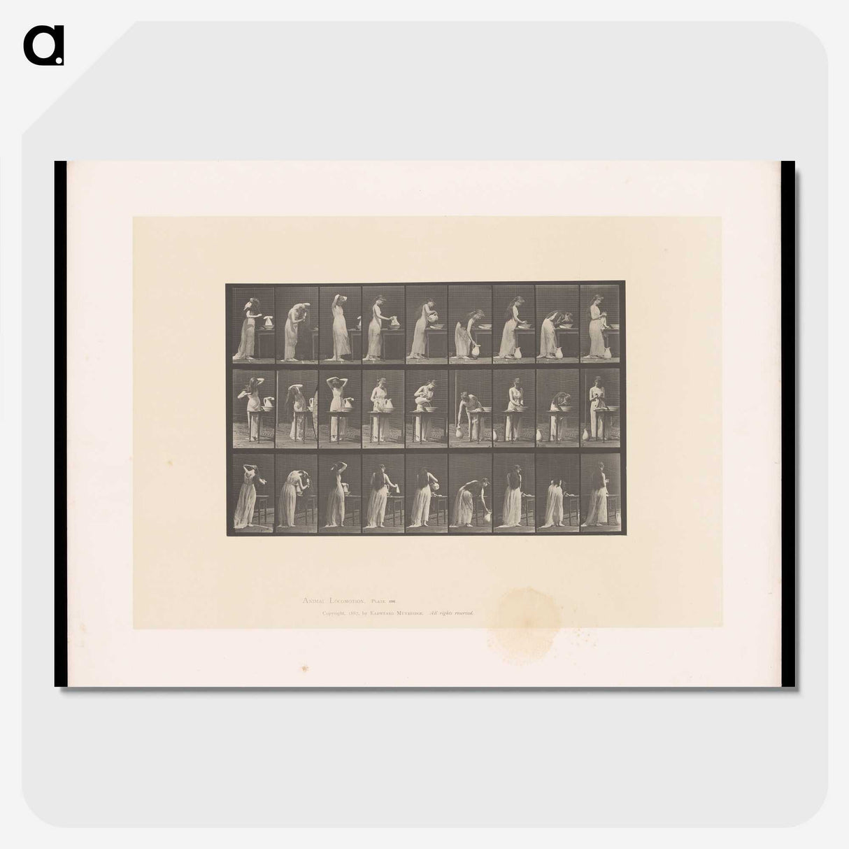 3-22_Eadweard-Muybridge_picture-crop