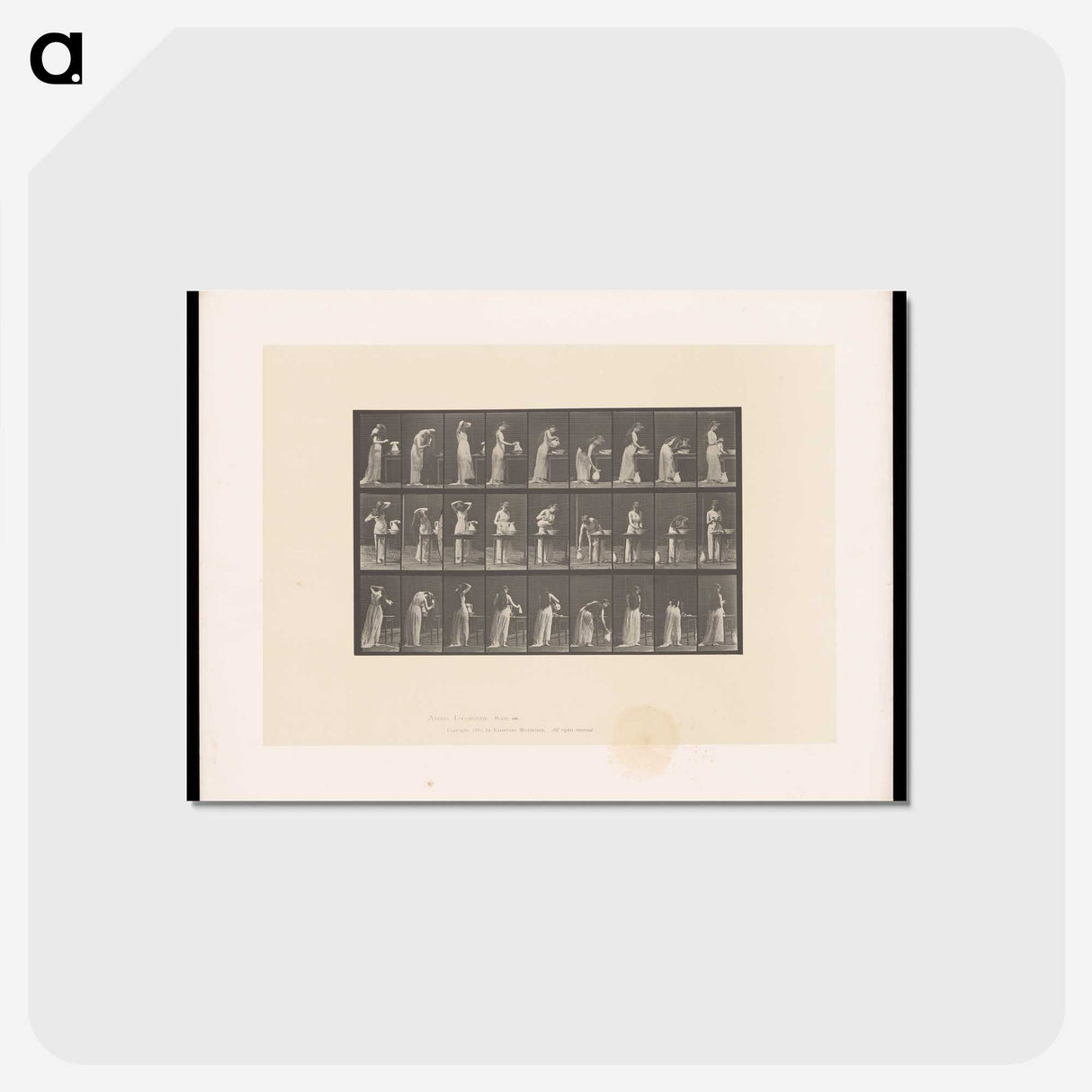 3-22_Eadweard-Muybridge_postcard