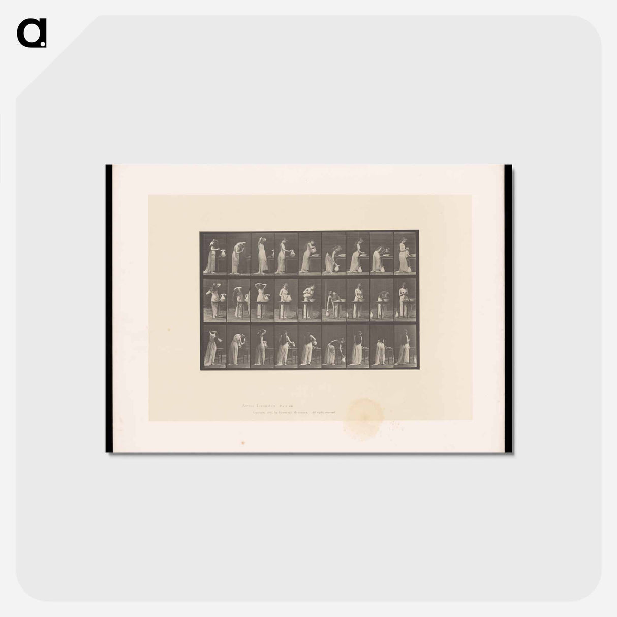 アートポストカード-Woman at Her Washstand
- エドワード マイブリッジ Postcard.