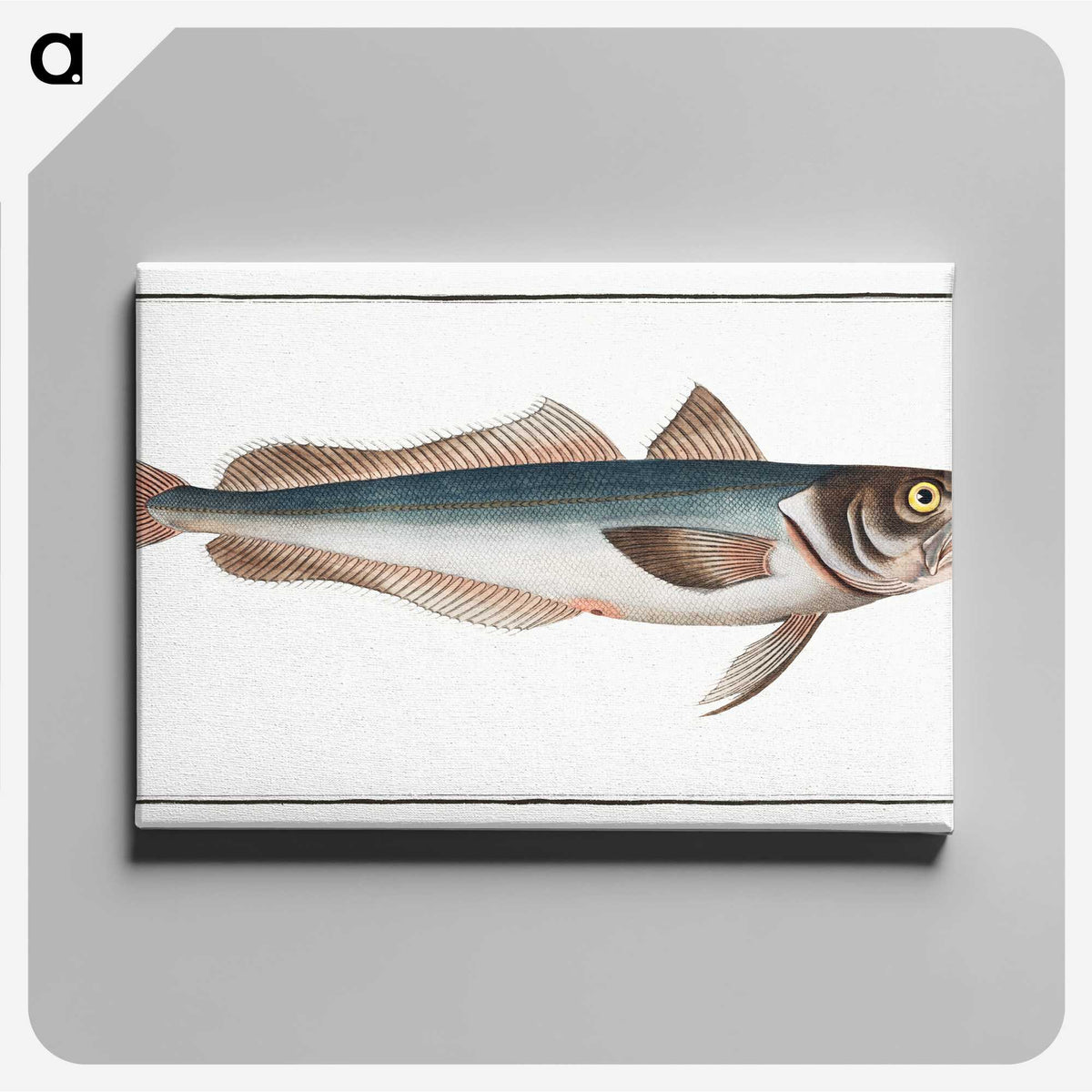 3-22_Ichtyologie-ou-Histoire-naturelle_canvas