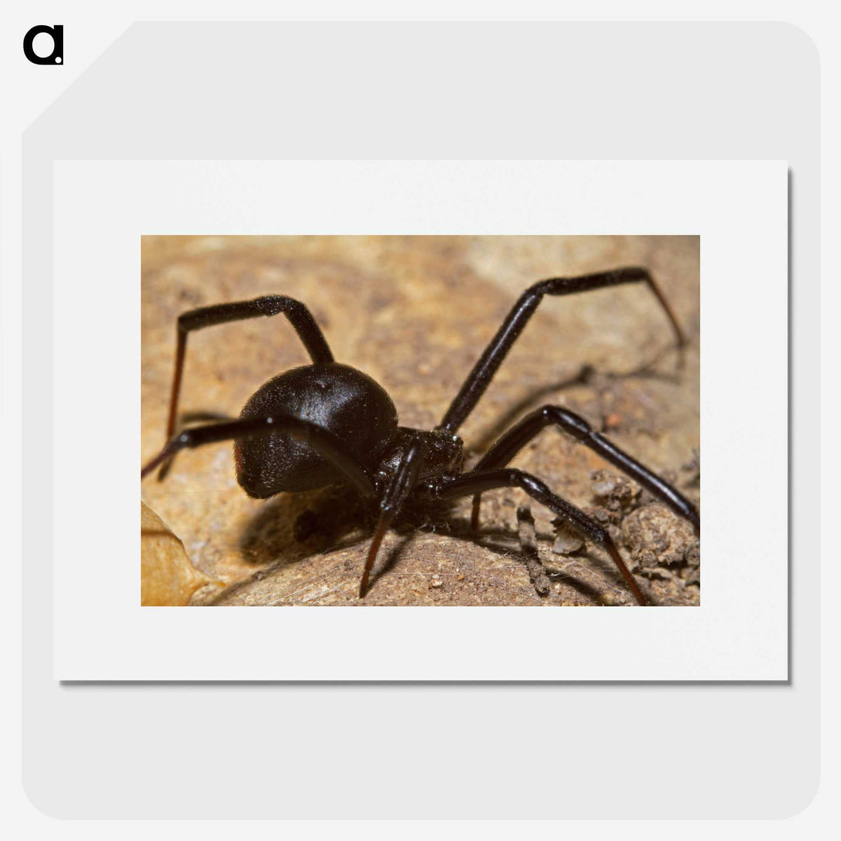 3-22_Insects-Unlocked-Project_picture