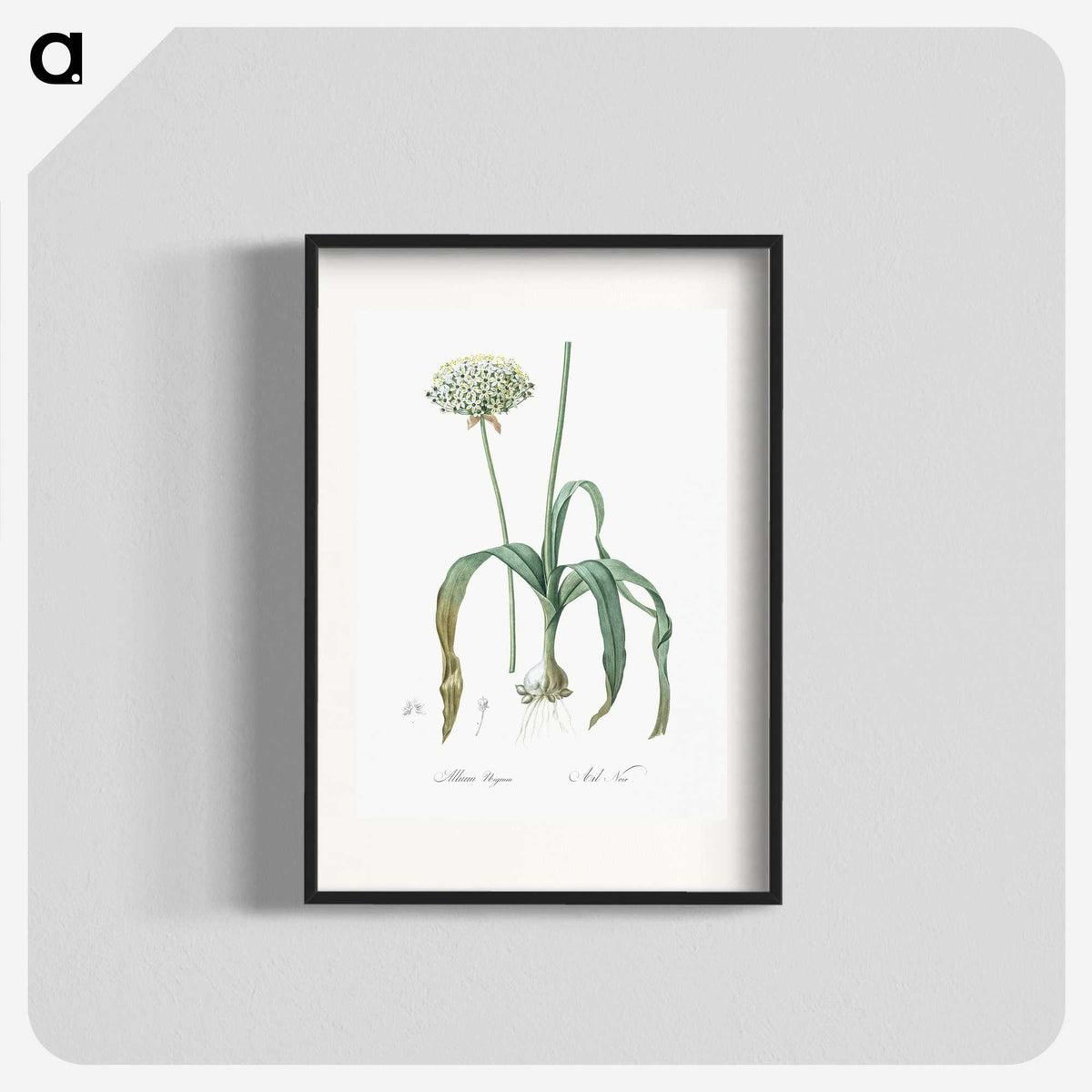3-22_The-Lilies_blk