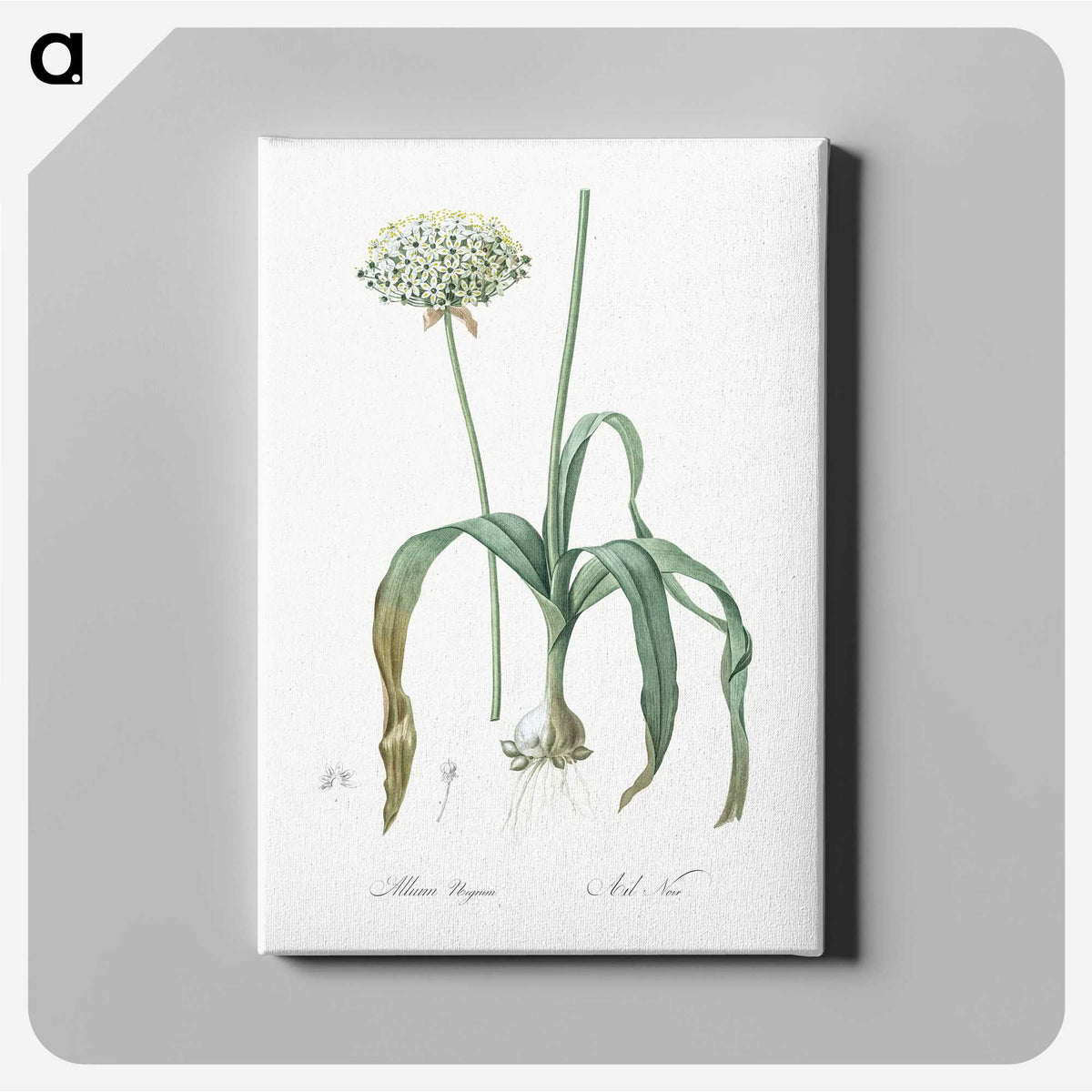 3-22_The-Lilies_canvas