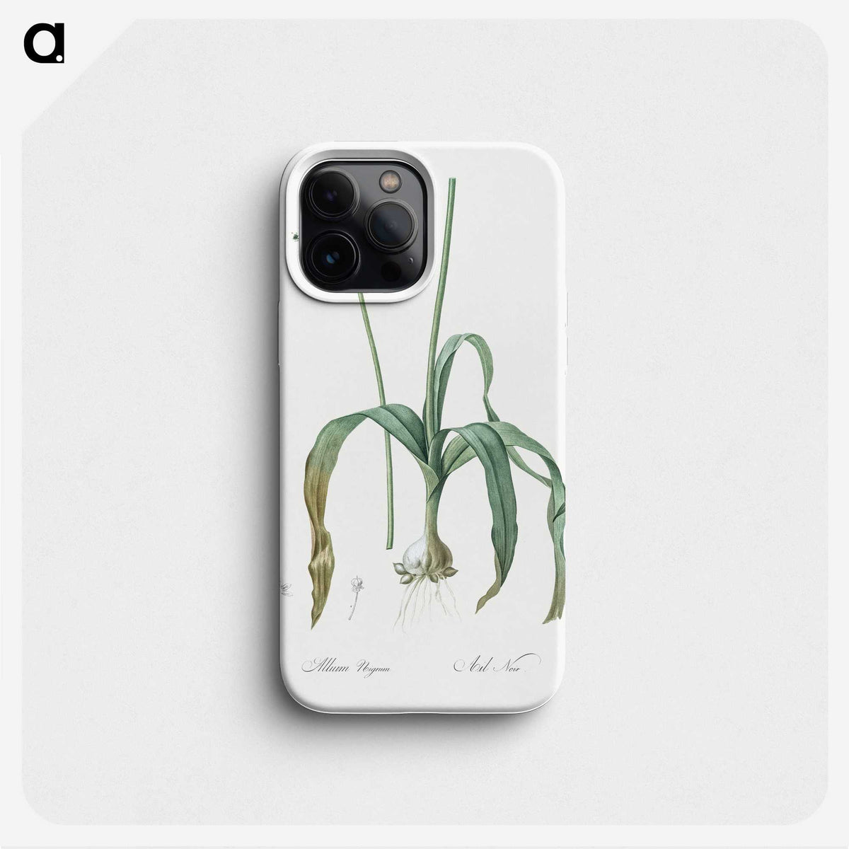 3-22_The-Lilies_phone