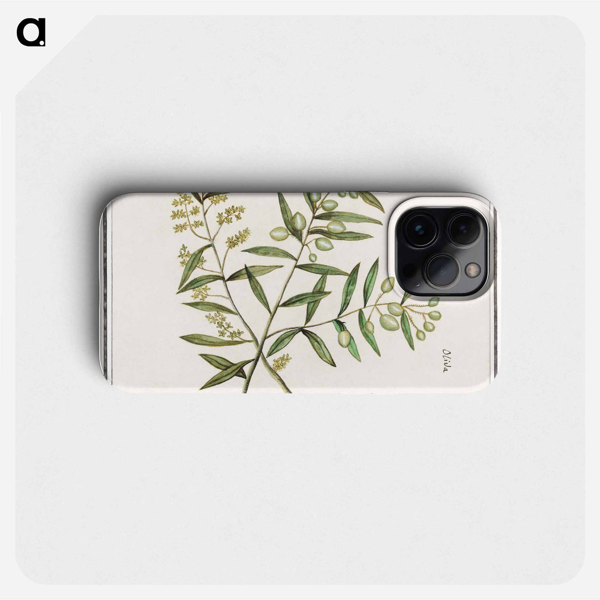 Olive - アンセルムス ボエティウス デ ブート Phone Case.