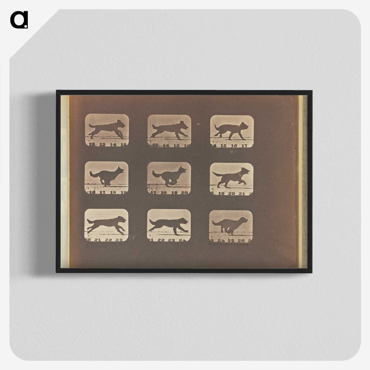 3-23_Eadweard-Muybridge_blk-crop