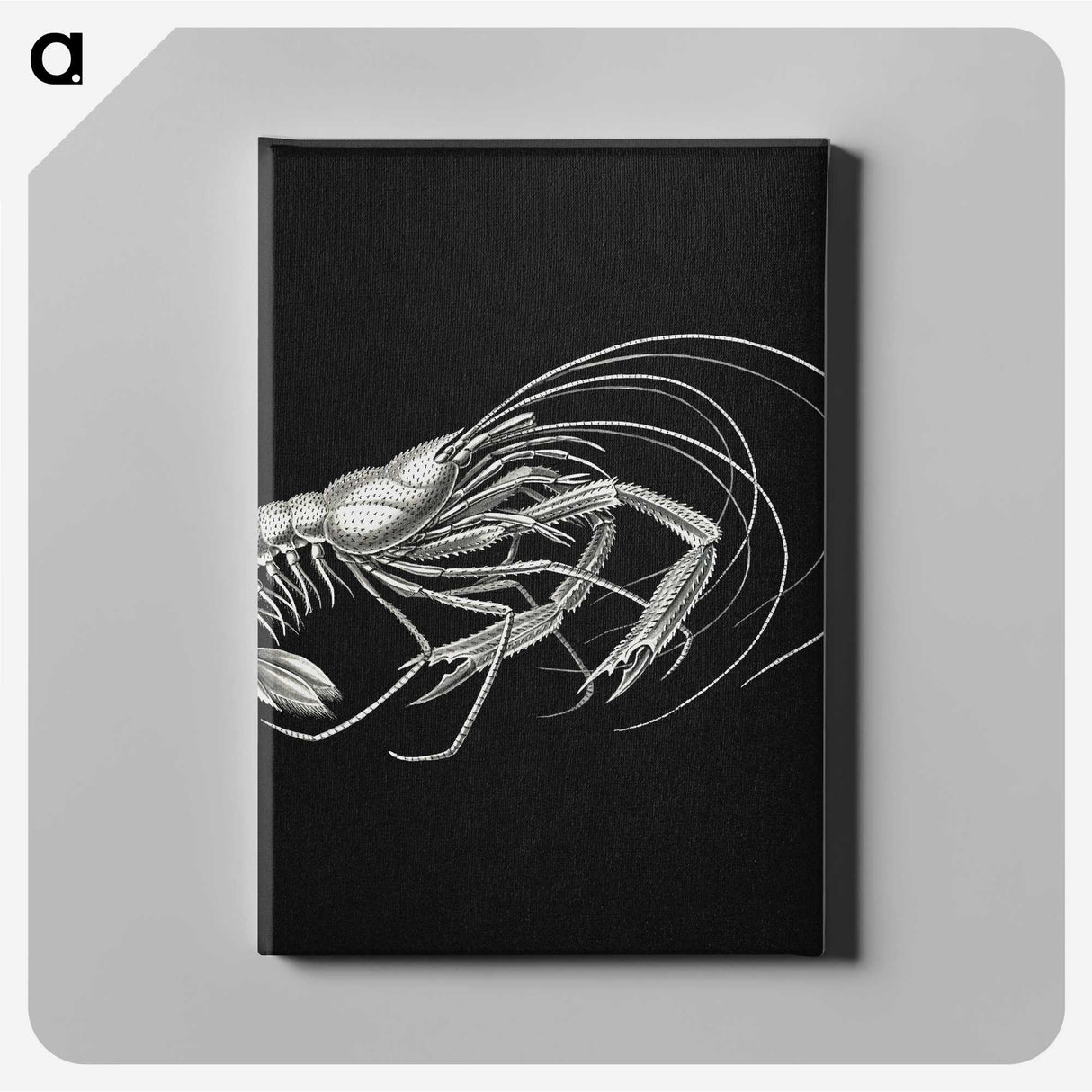 3-23_Ernst-Haeckel_canvas