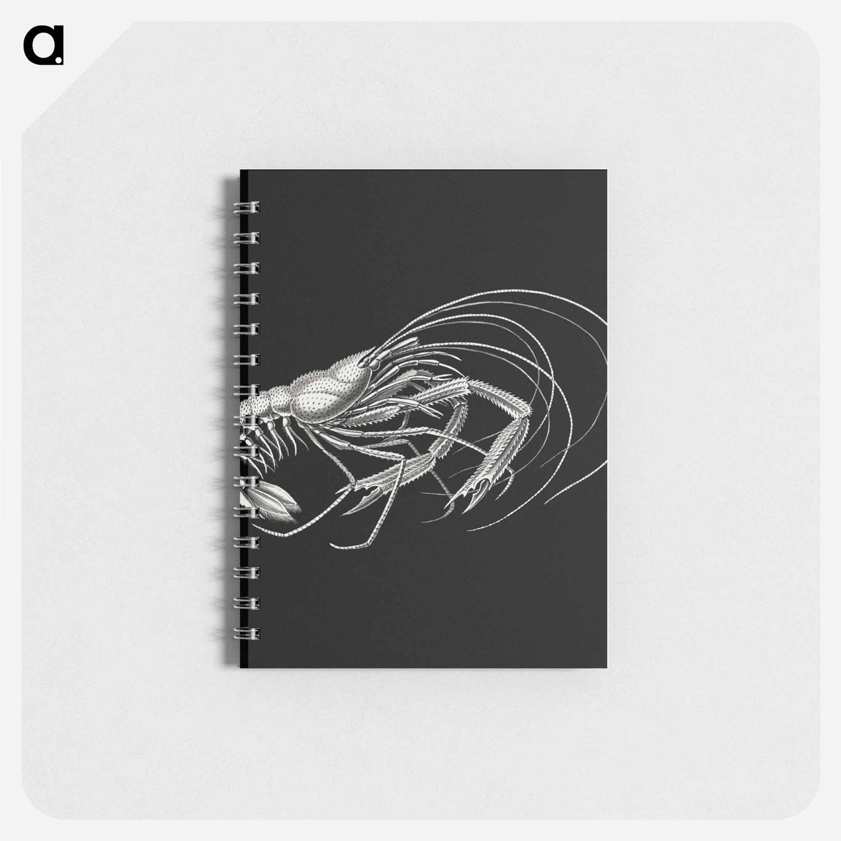 アートメモ帳-Vintage prawn marine life illustration - エルンスト ヘッケル Memo.