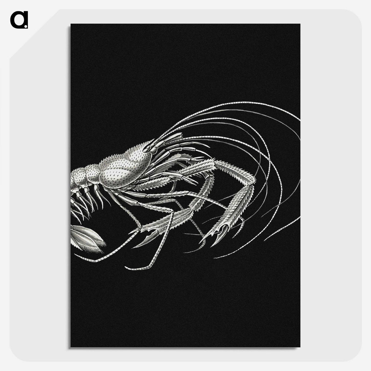 3-23_Ernst-Haeckel_picture-crop