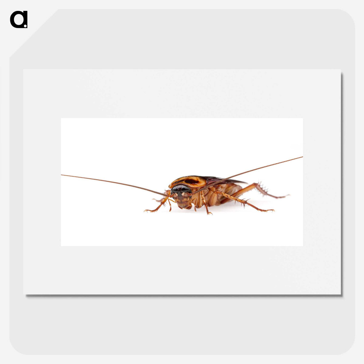 3-23_Insects-Unlocked-Project_picture