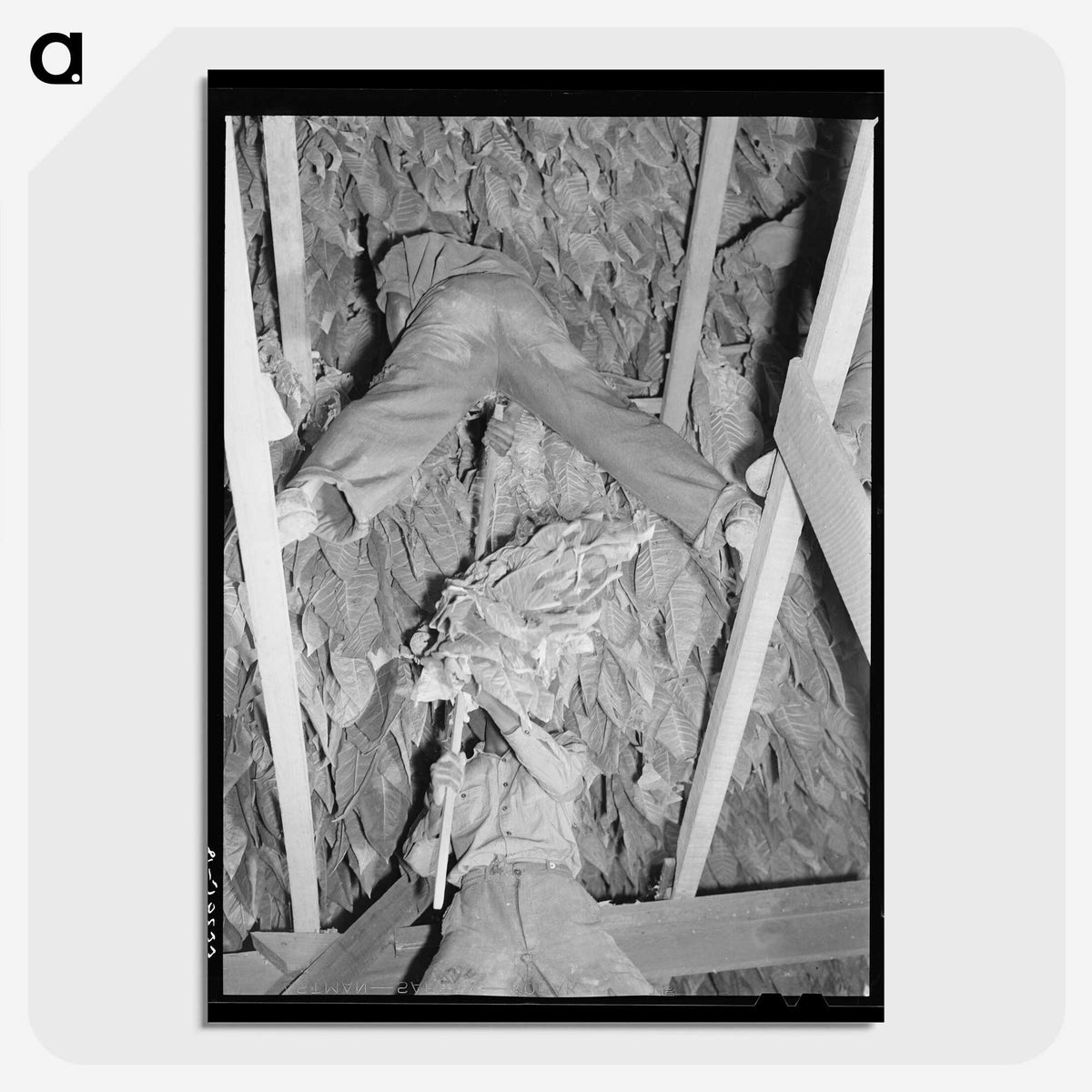 3-23_Marion-Post-Wolcott_picture-crop