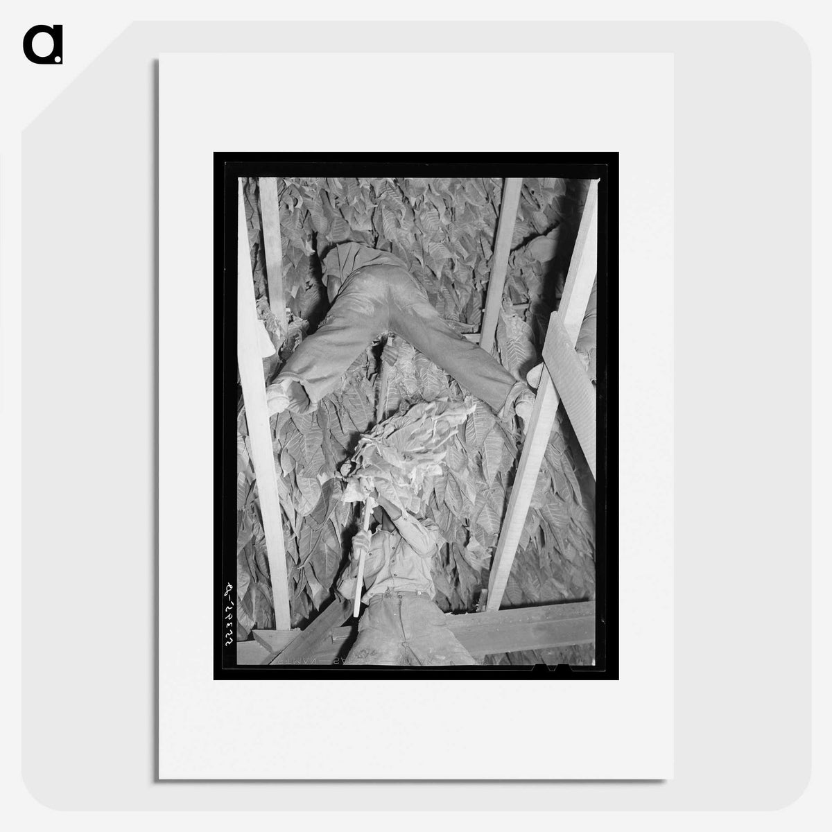 3-23_Marion-Post-Wolcott_picture
