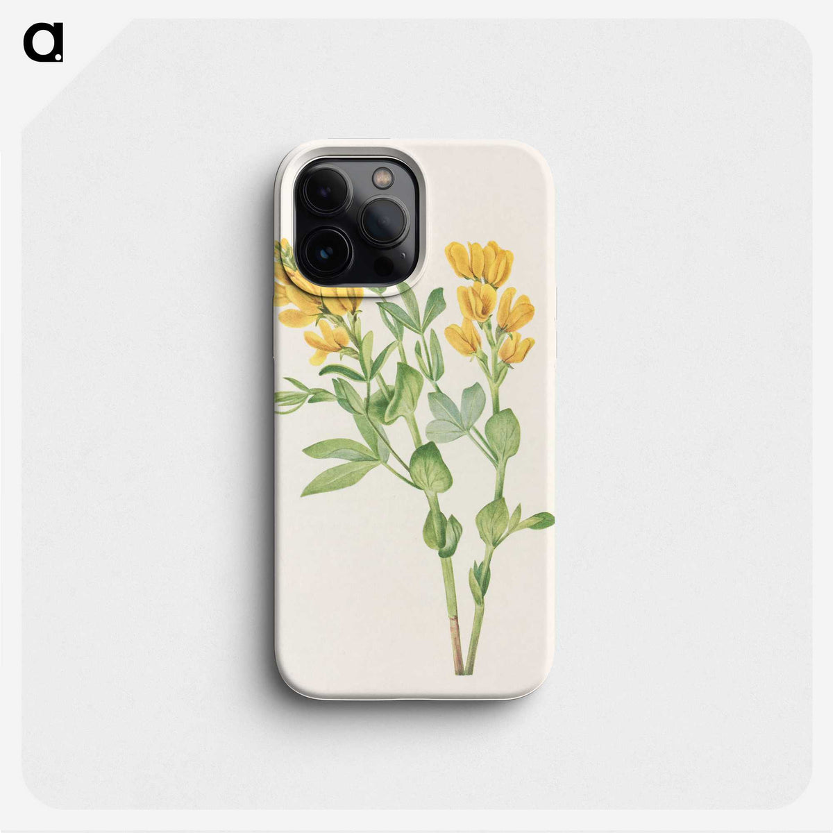 3-23_Mary-Vaux-Walcott_phone