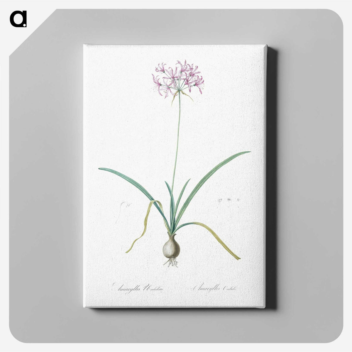 3-23_The-Lilies_canvas