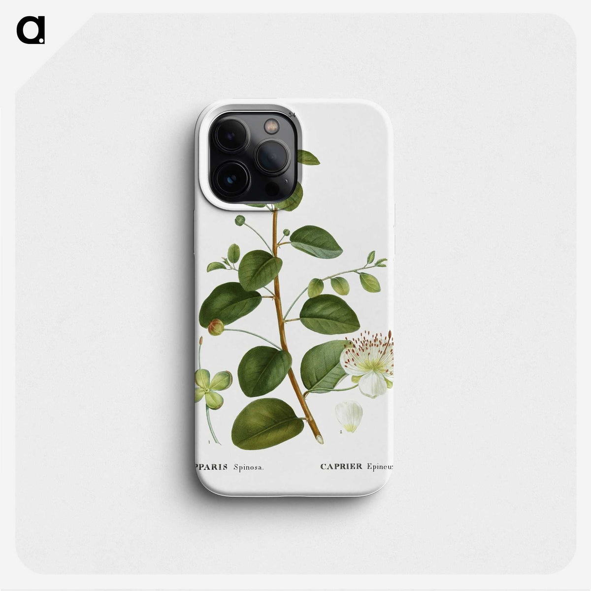 3-23_Treatise-on-Trees-and-Shrubs_phone
