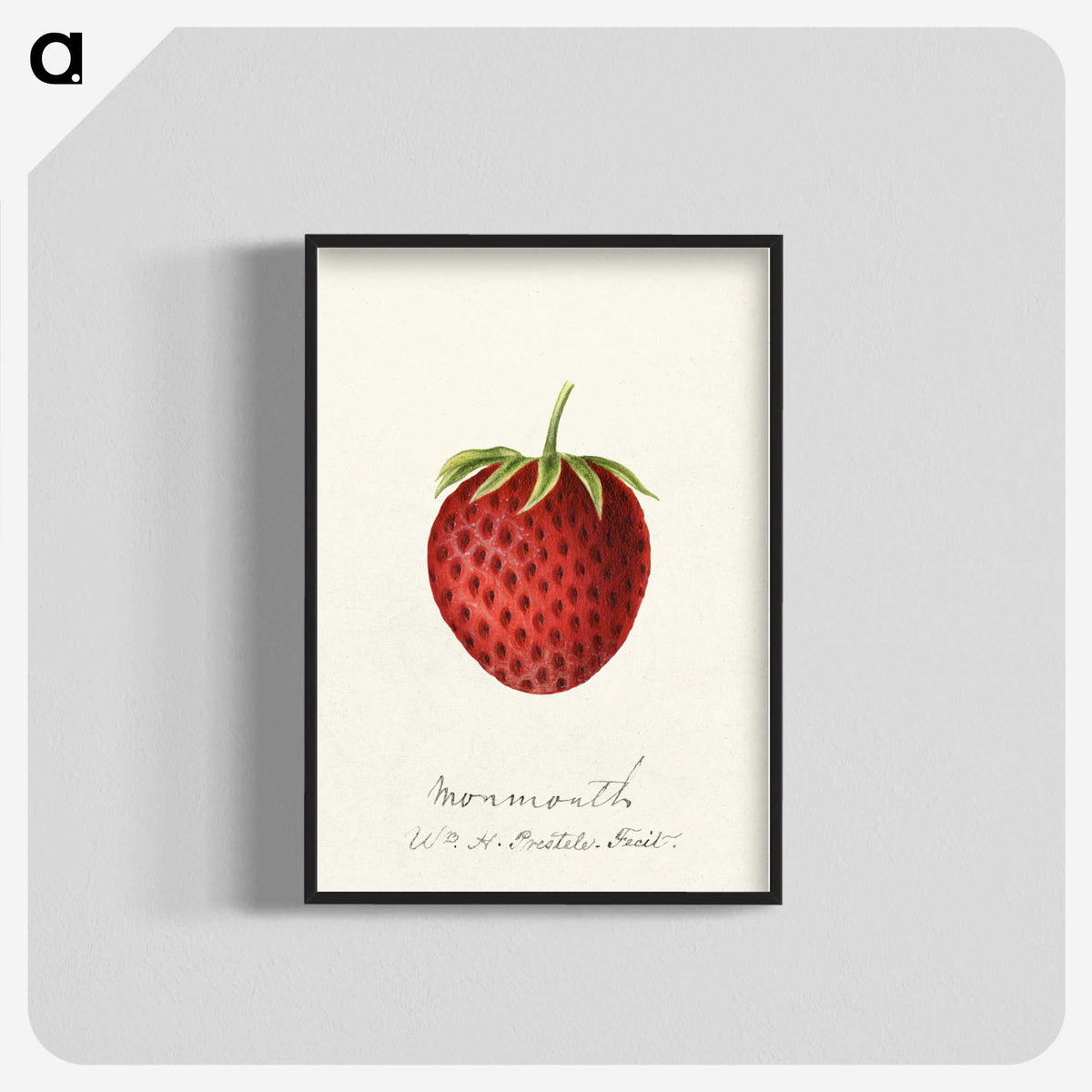 3-23_USDA-Watercolor-Fruit-Painting-Collection_blk-crop